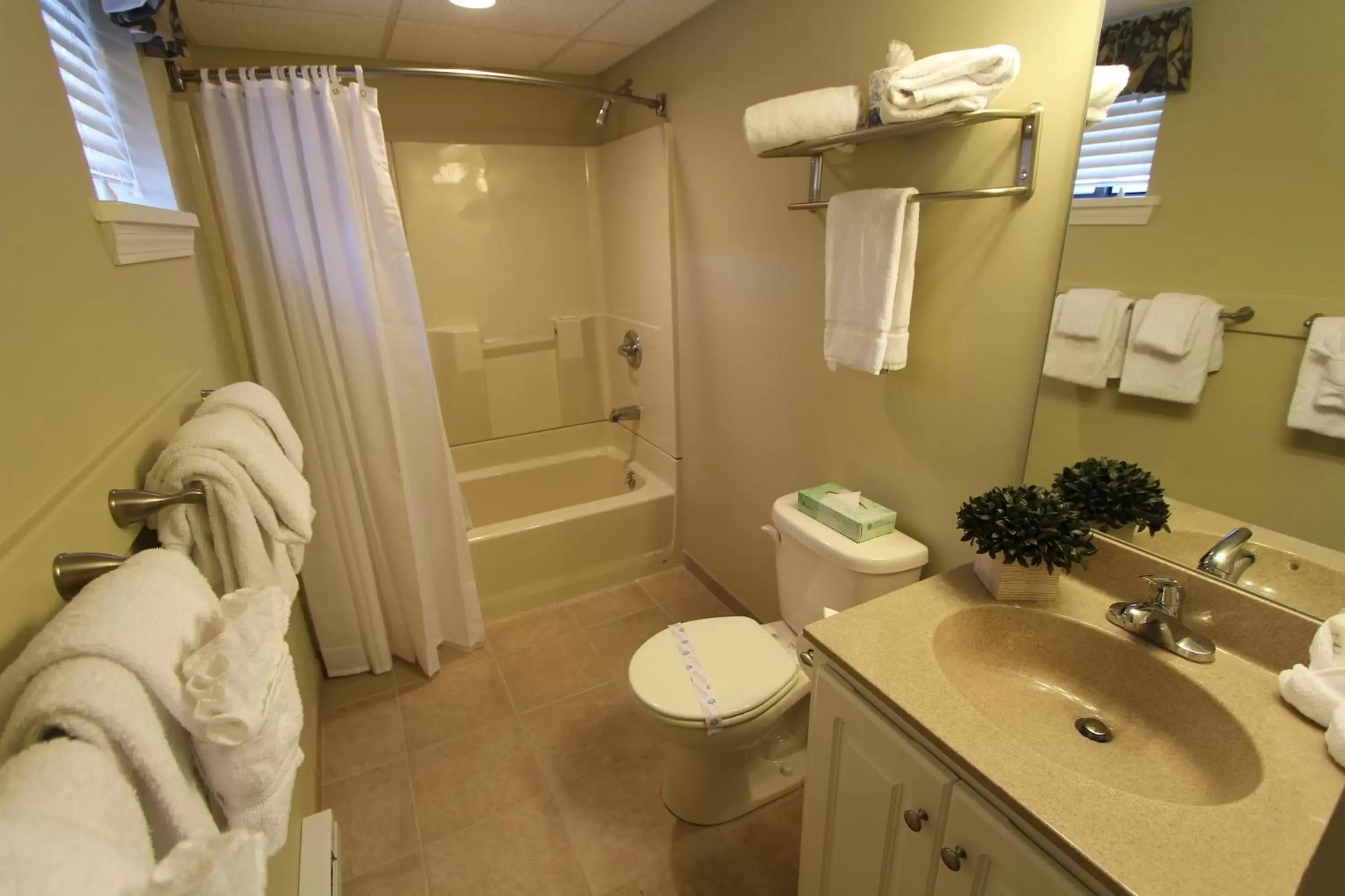 Toilet, Bathroom in Tanglwood Resort, a VRI resort