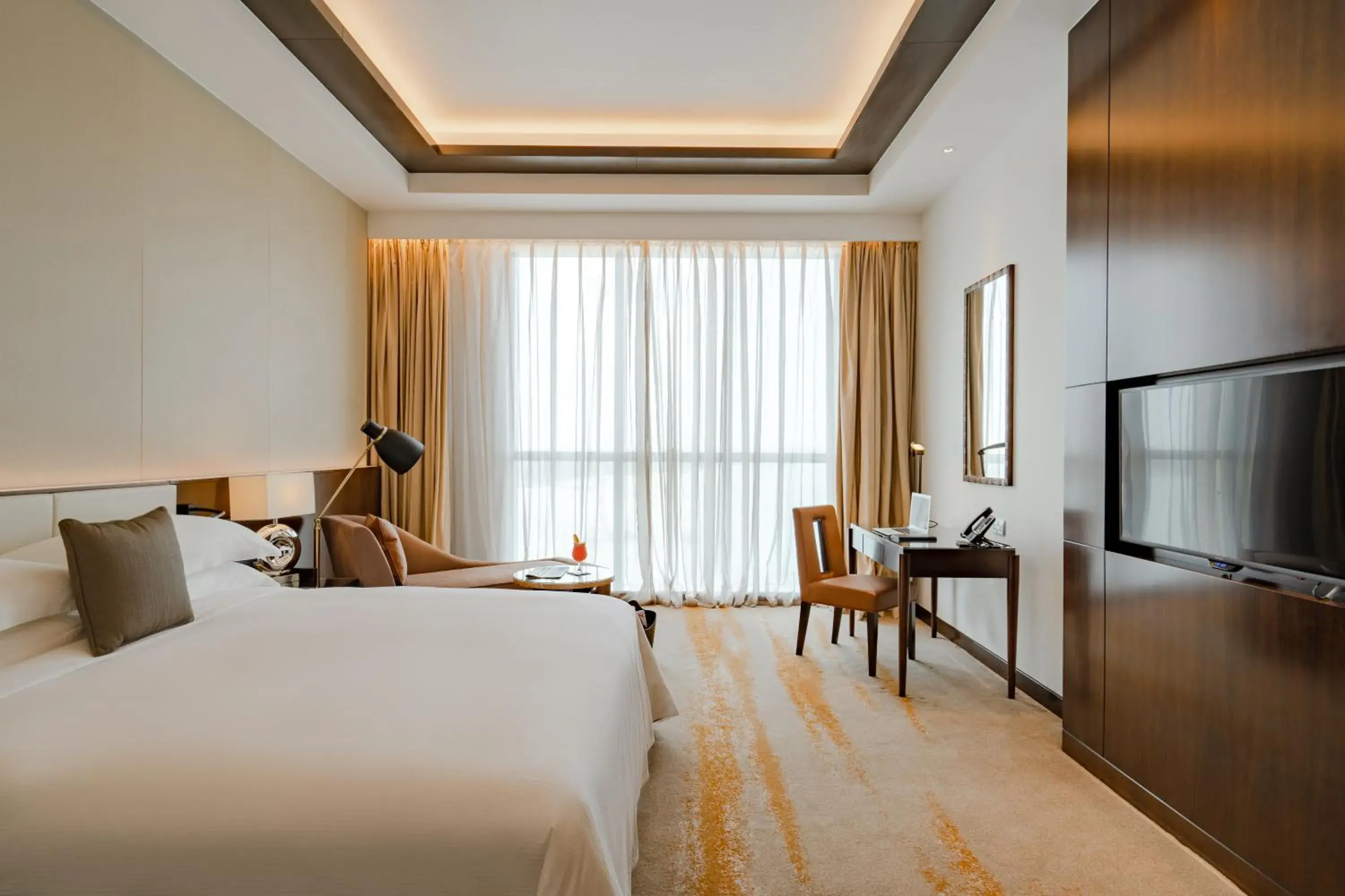 TV and multimedia in Johari Rotana