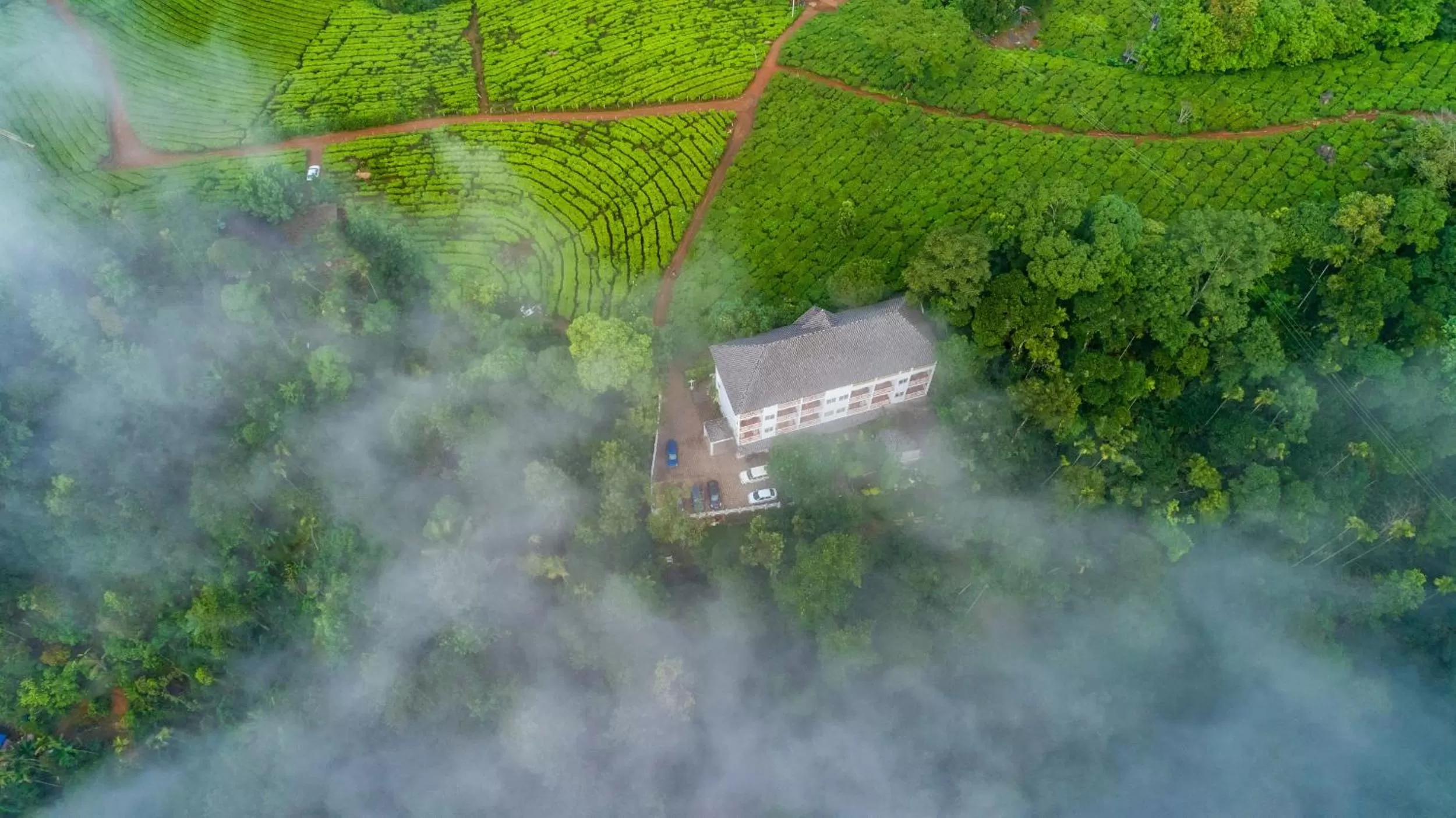 Bird's eye view in Tea Harvester