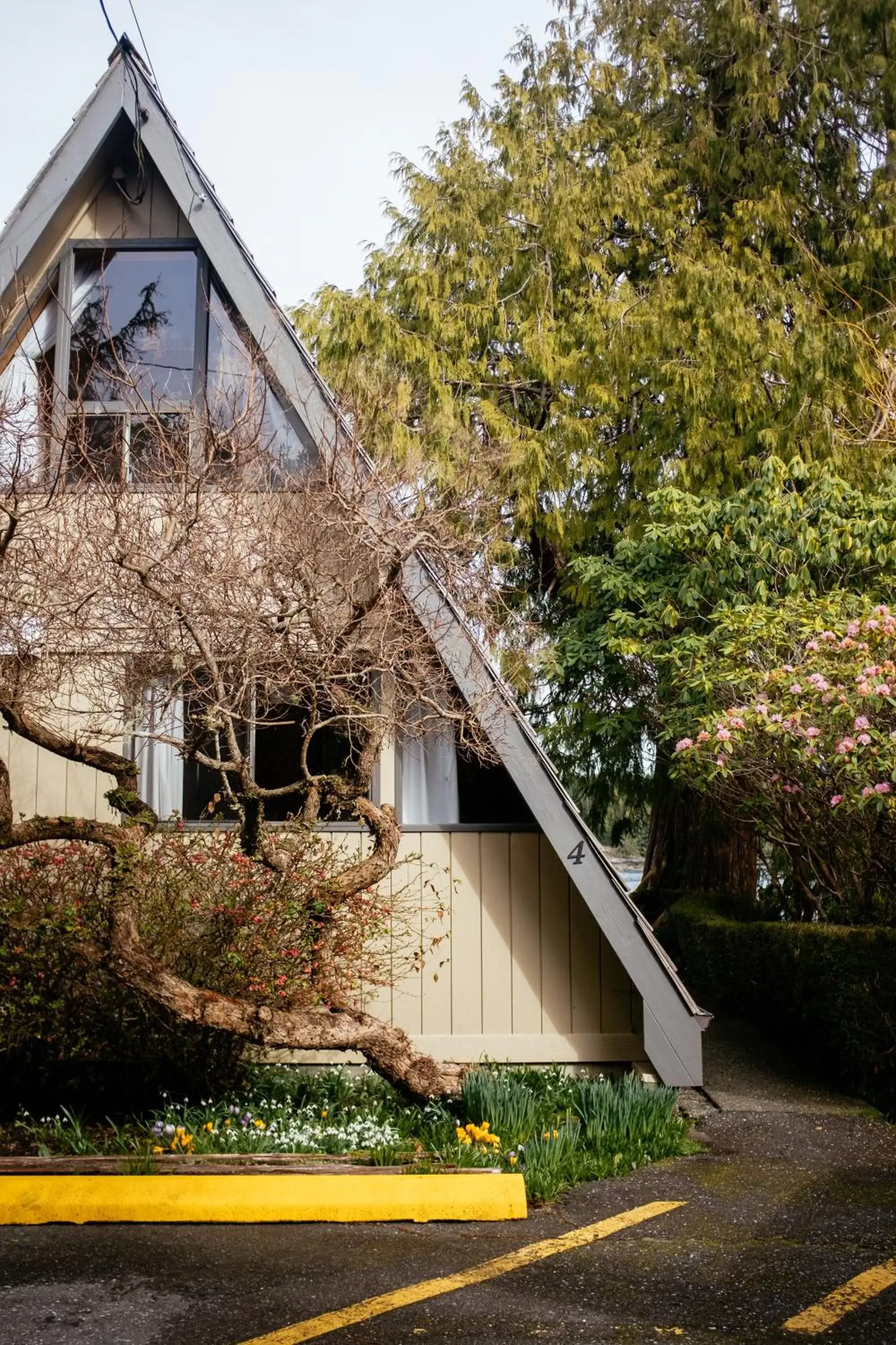 Property Building in The Shoreline Tofino