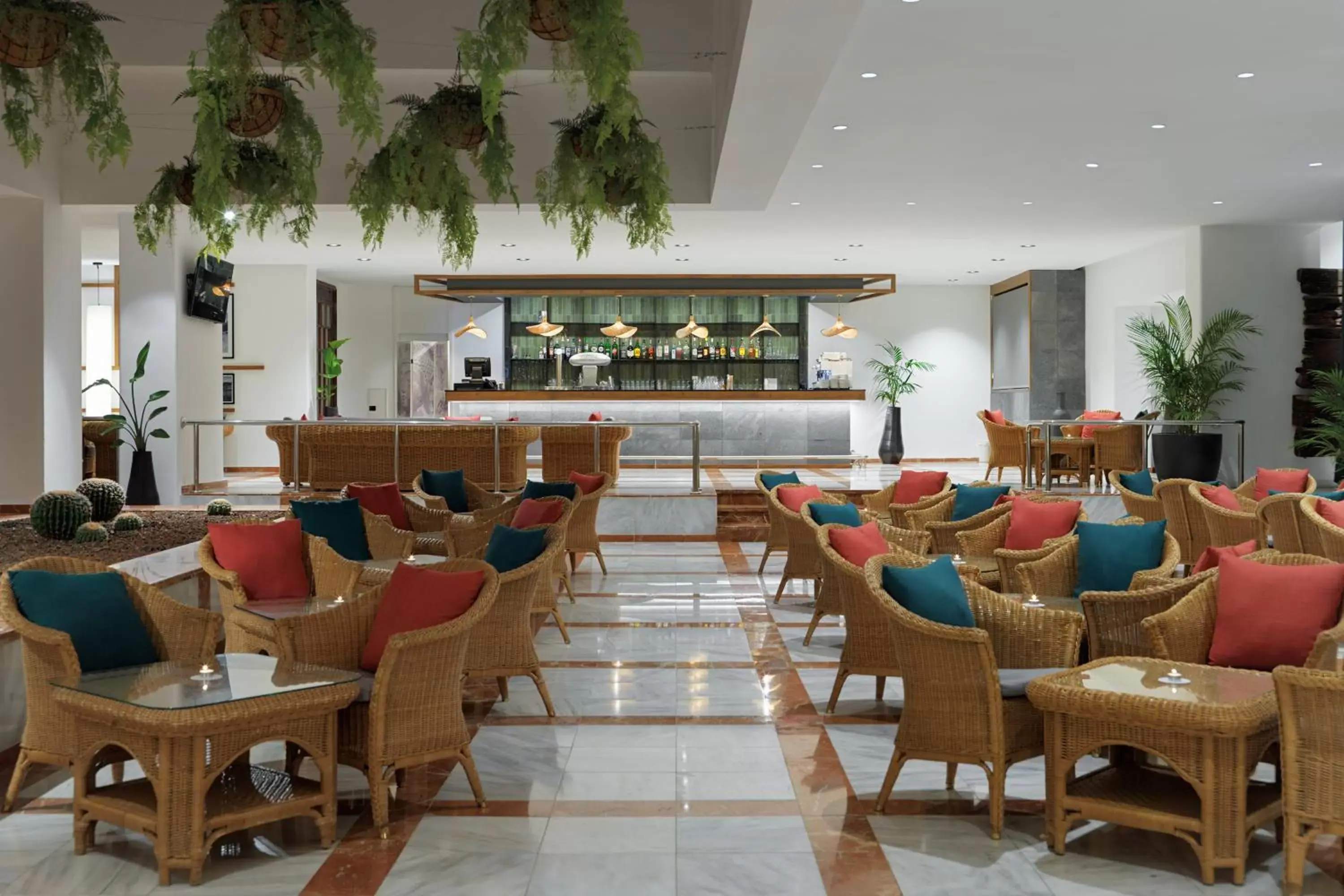 Lounge or bar, Restaurant/Places to Eat in FERGUS Puerto de la Cruz