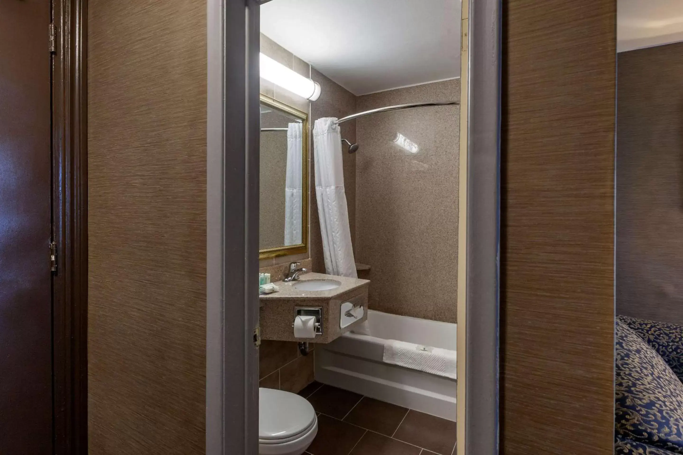 Bedroom, Bathroom in Quality Inn Toronto Airport