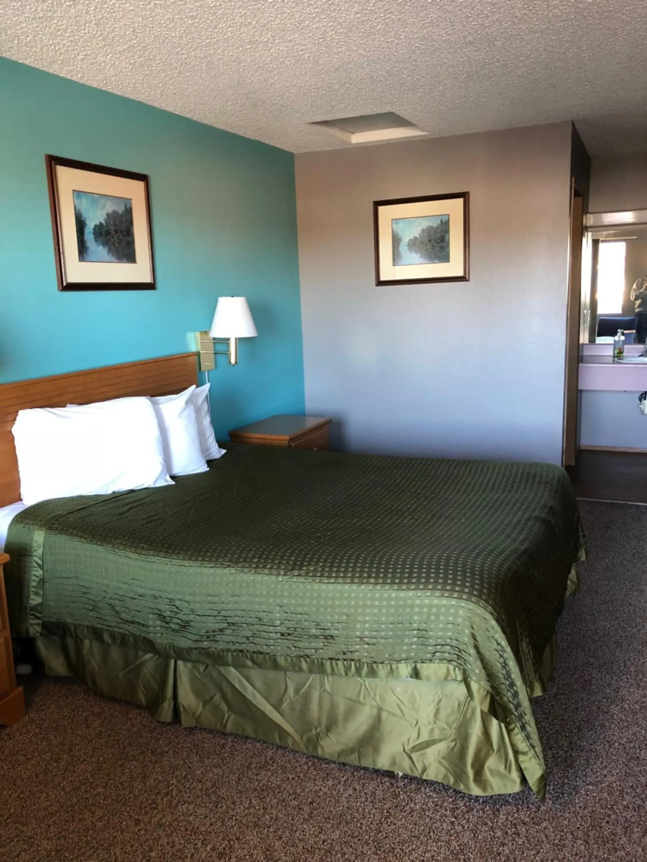 Photo of the whole room, Bed in Sumner Motor Inn