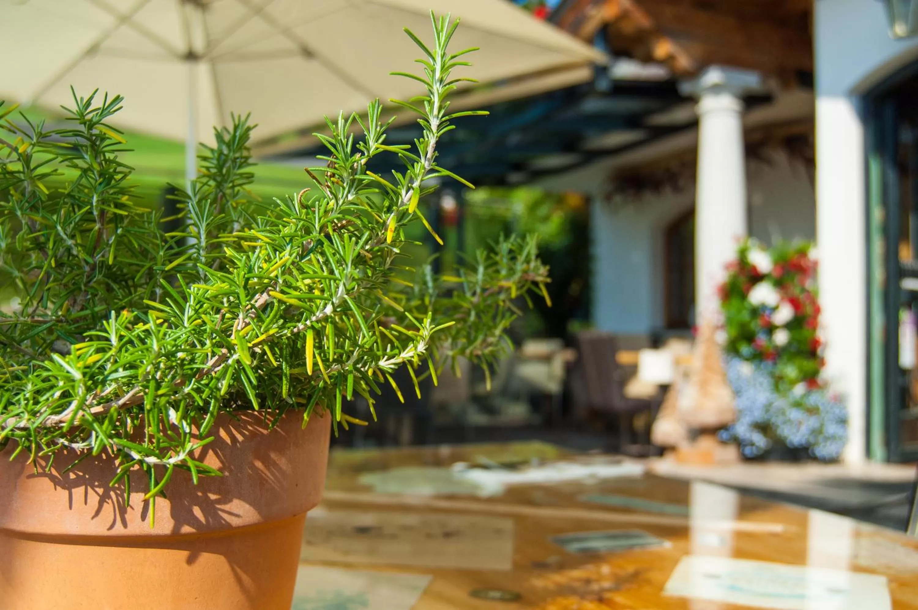 Summer in Hotel und Alpen Apartments - Bürglhöh