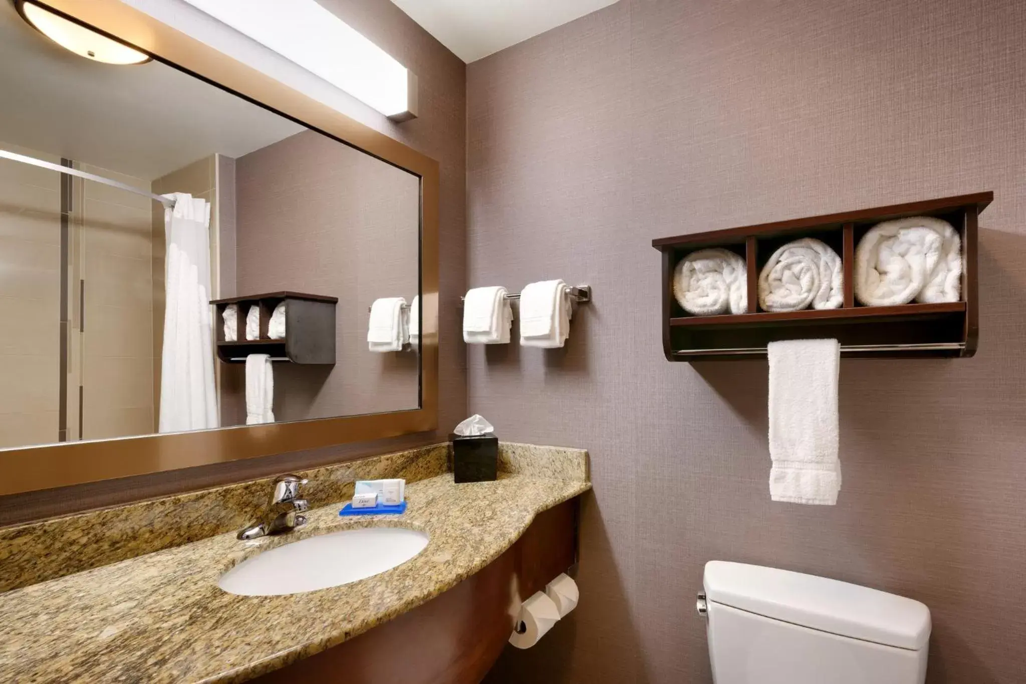 Photo of the whole room, Bathroom in Holiday Inn Express Hotel & Suites Billings, an IHG Hotel