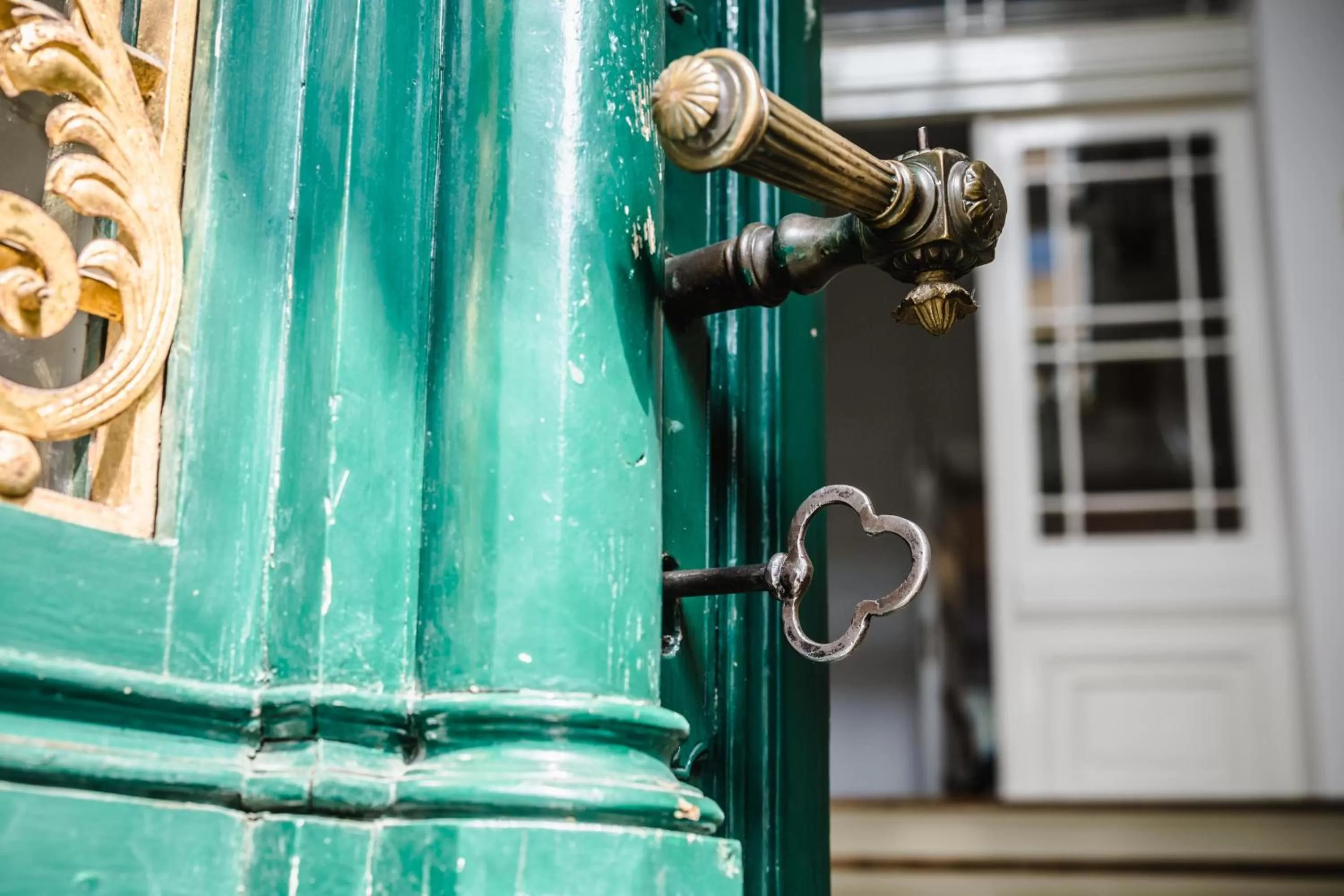 Decorative detail in Matejki 8