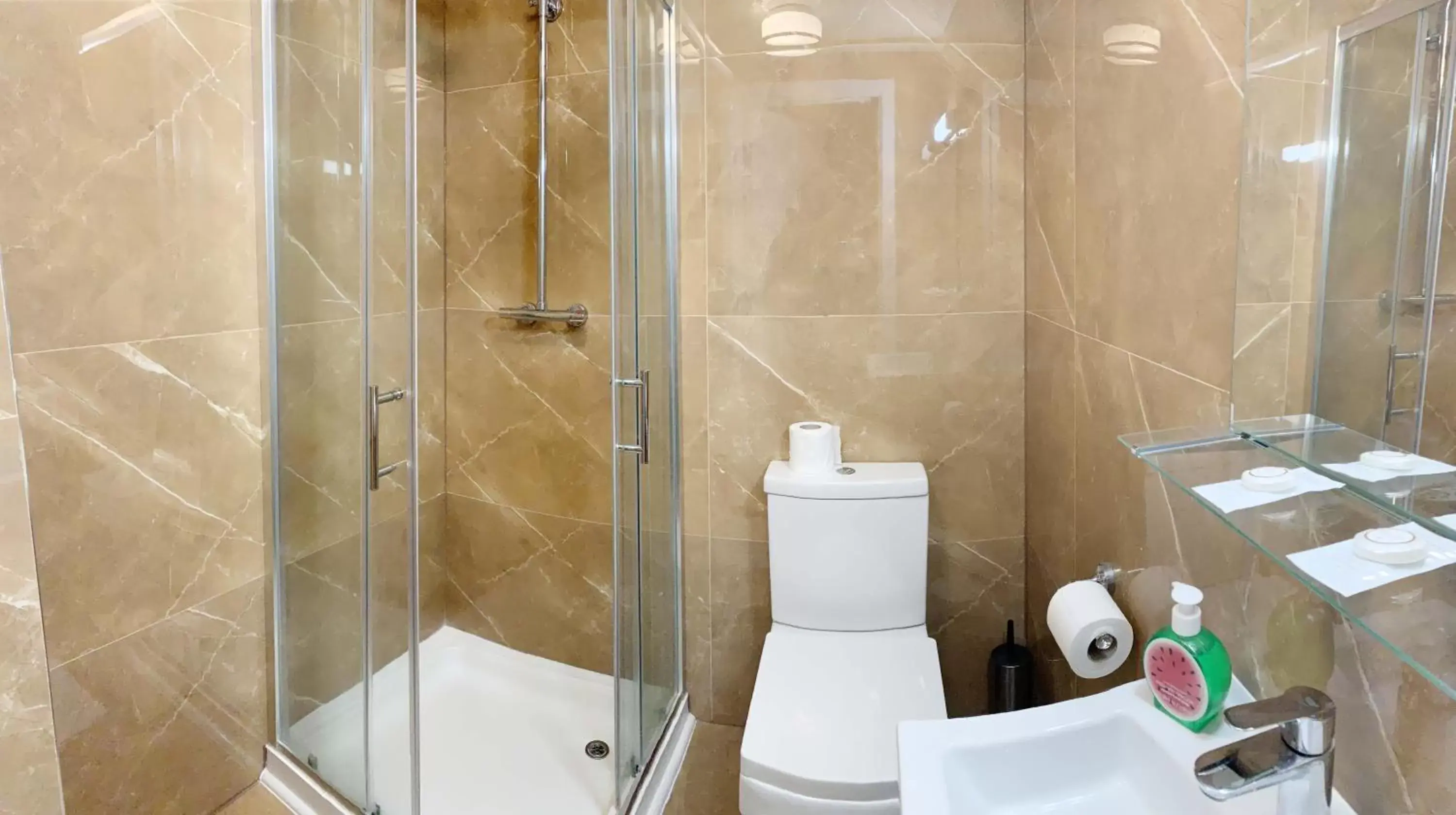 Shower, Bathroom in The Bridge Hotel