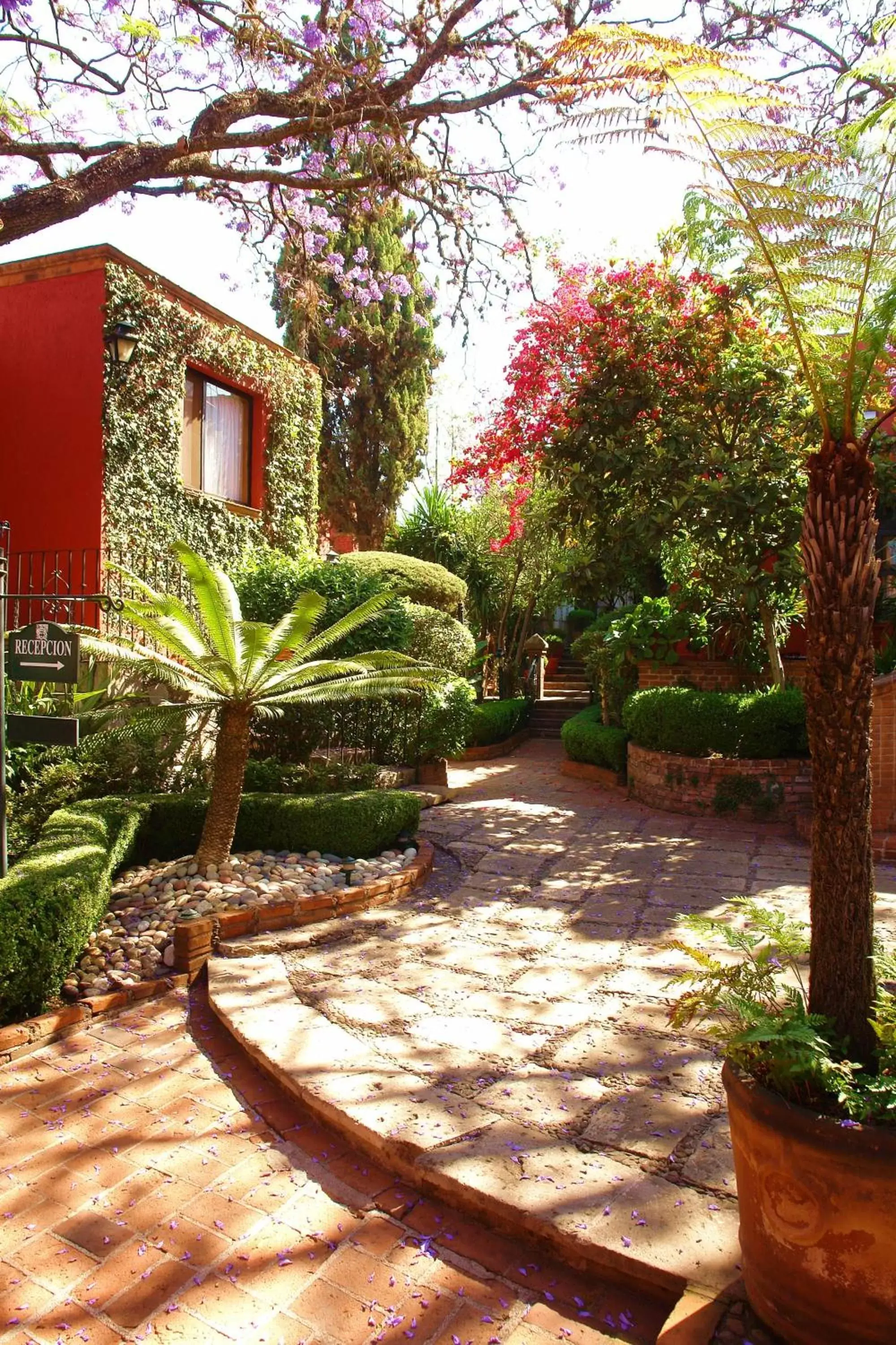 Garden, Property Building in Villa Montaña Hotel & Spa