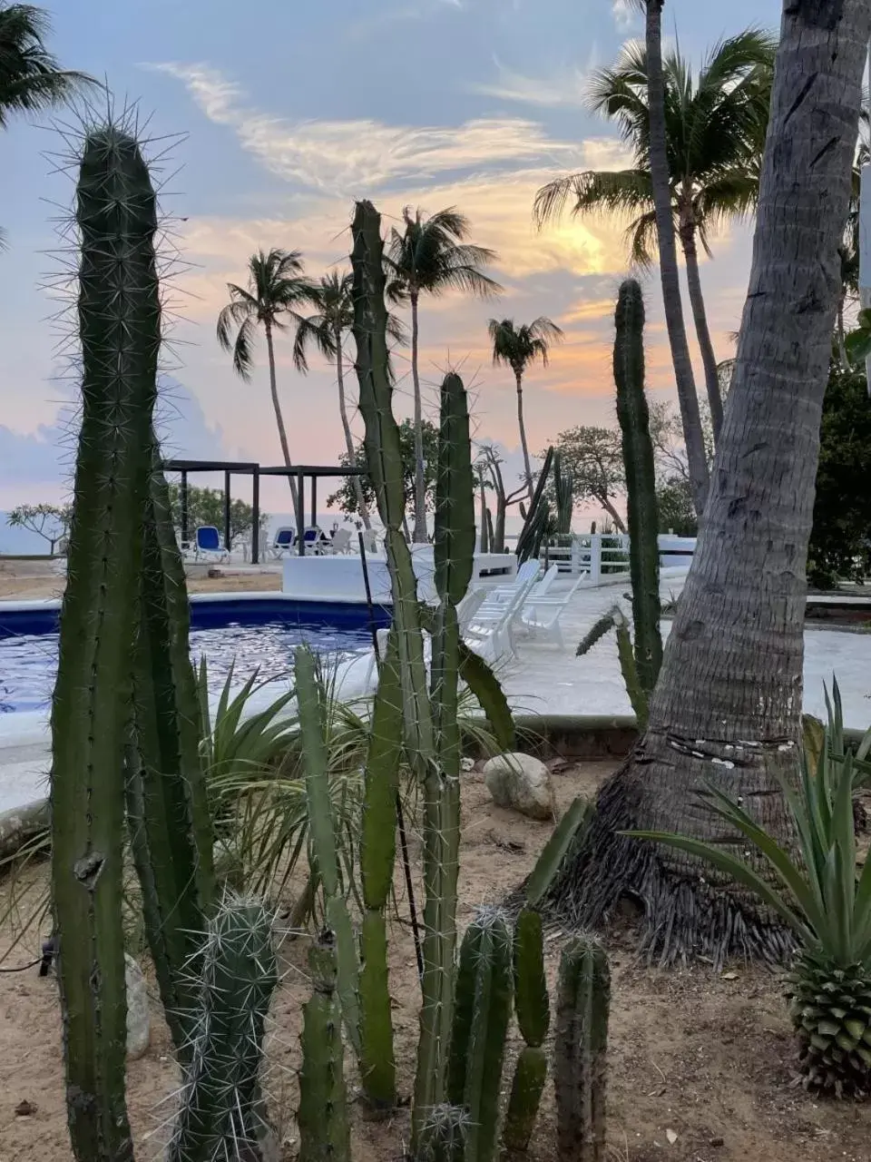 Swimming Pool in Hotel Villa Mexicana Puerto Escondido