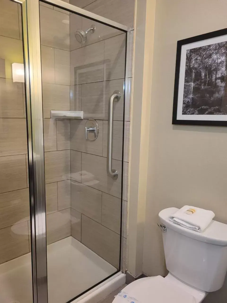 Shower, Bathroom in La Quinta by Wyndham Tyler - University Area
