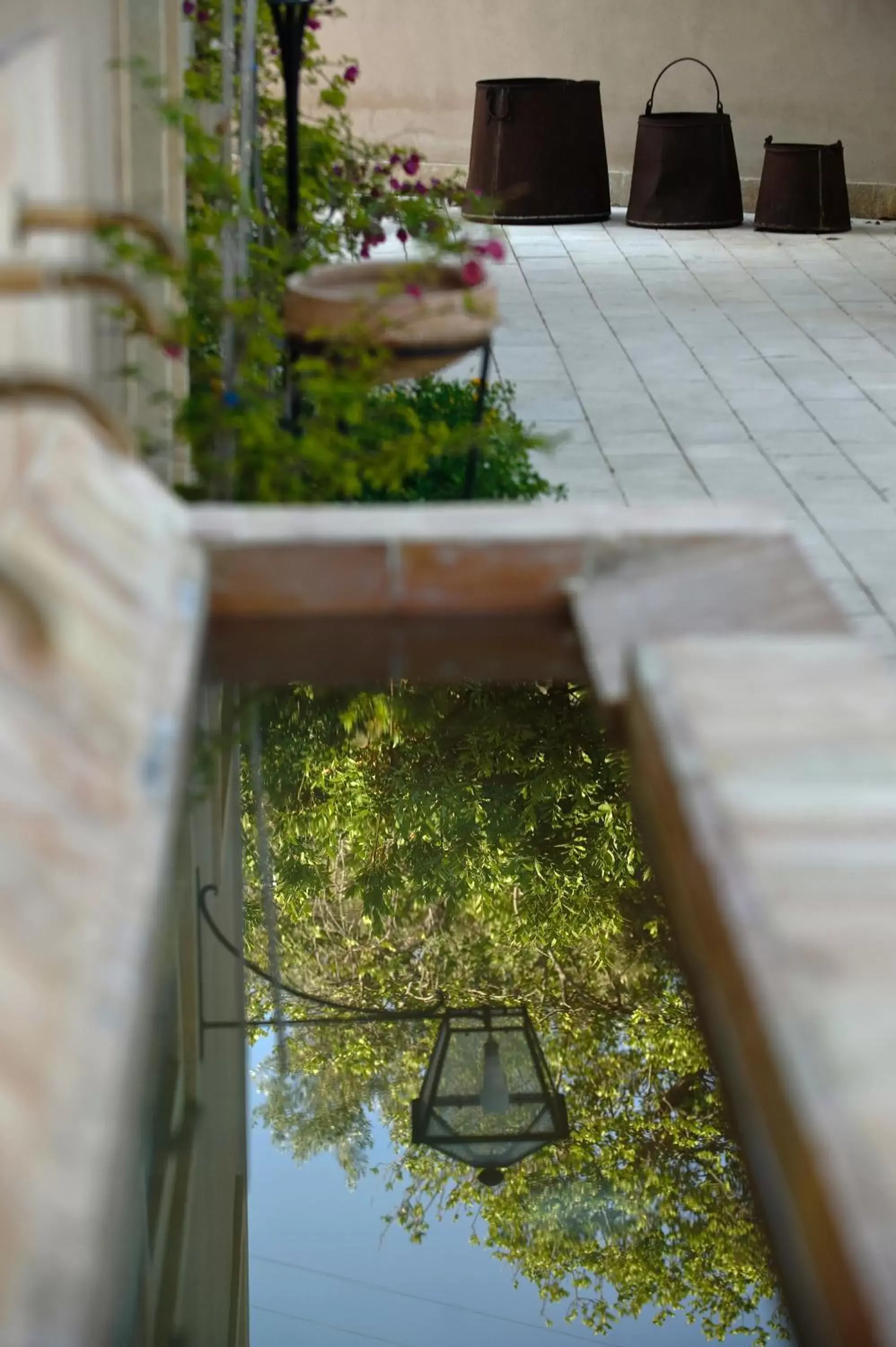 Facade/entrance in Relais Parco Cavalonga Facade/entrance in Relais Parco Cavalonga