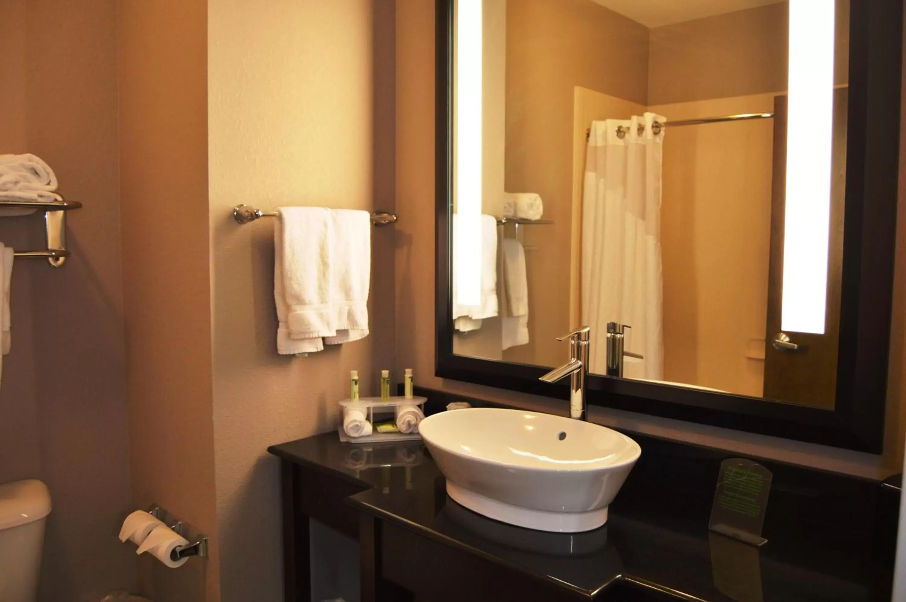 Bathroom in Holiday Inn Express El Reno, an IHG Hotel