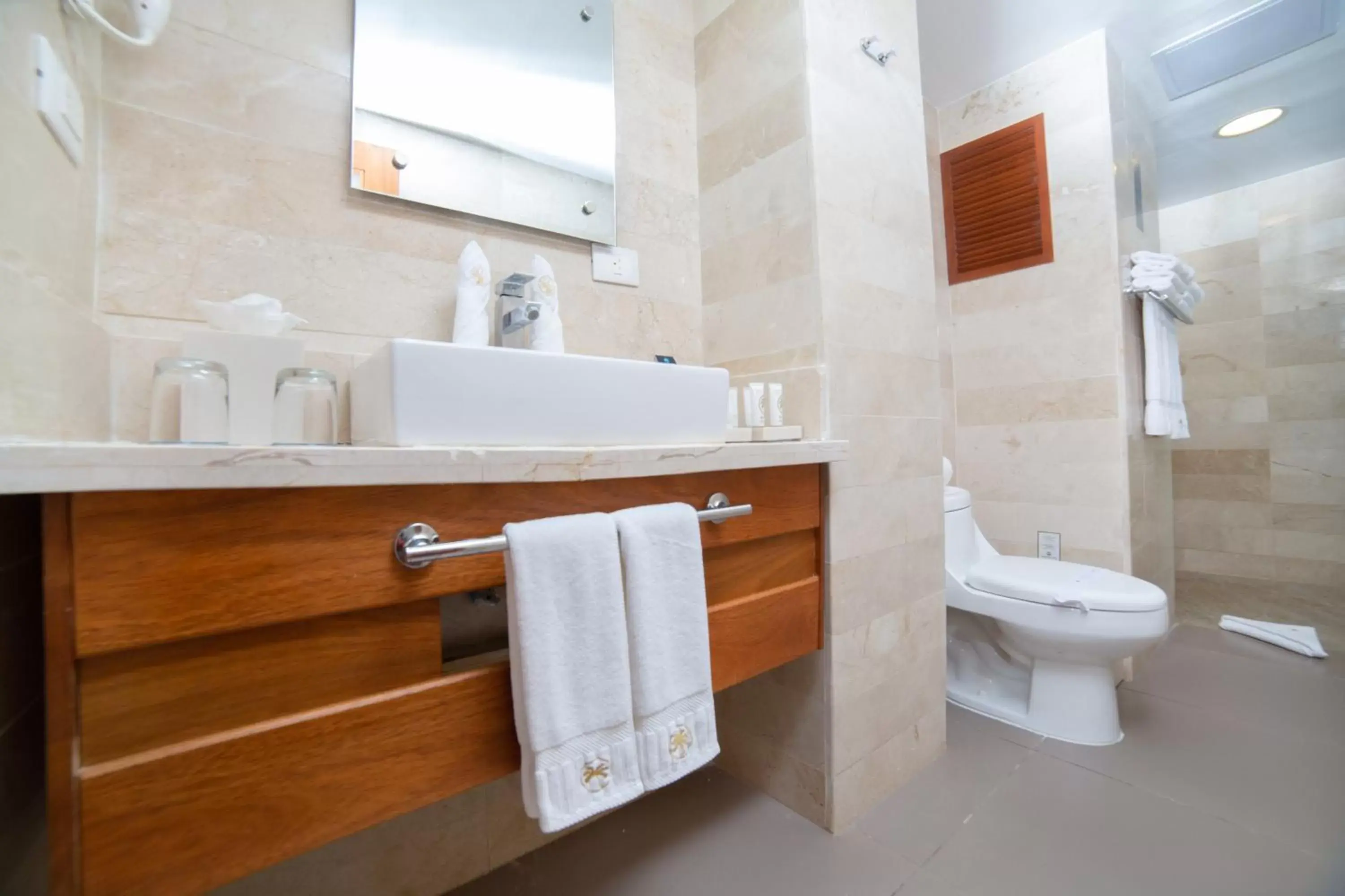 Bathroom in Presidential Suites Cabarete - Room Only