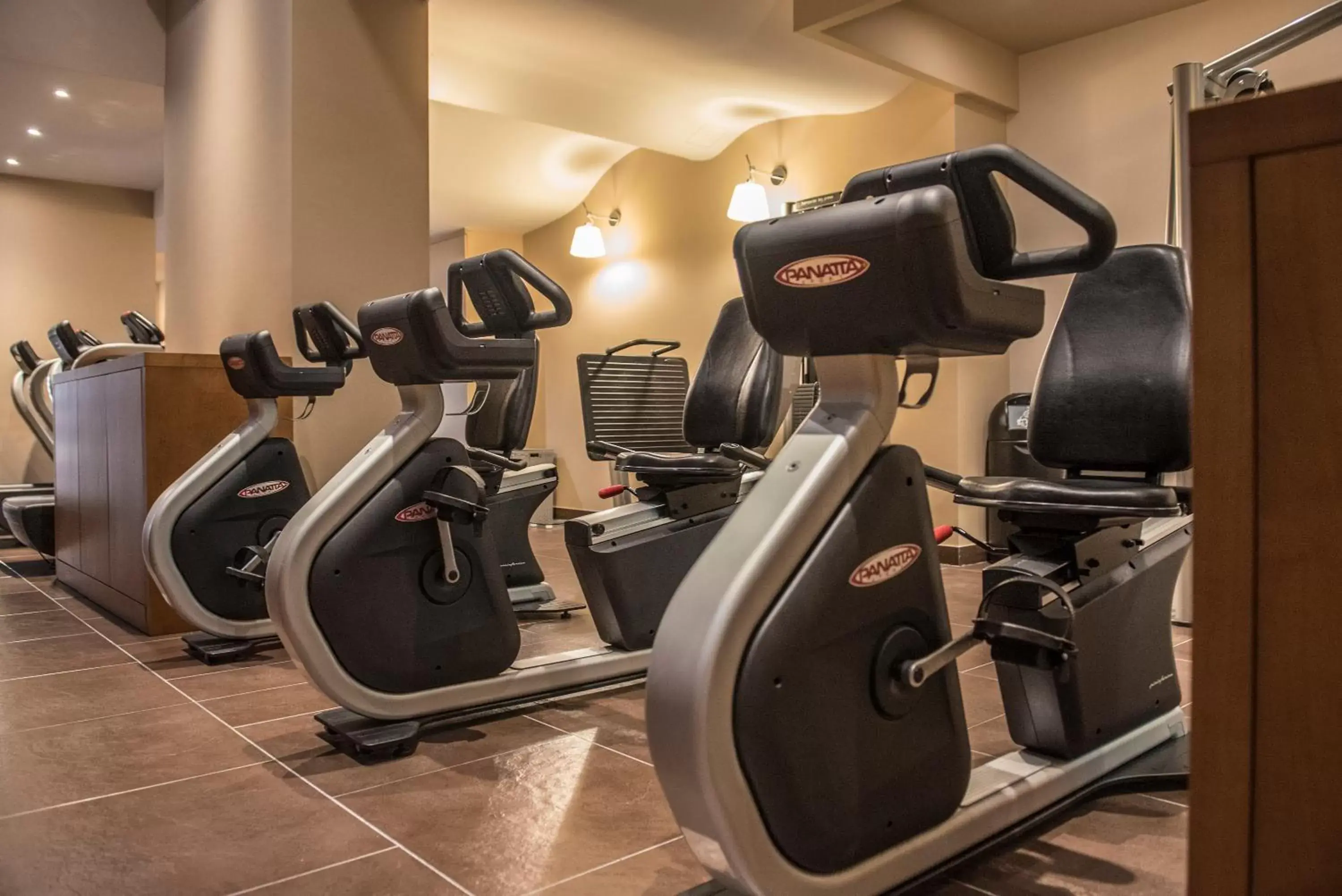 Fitness centre/facilities, Fitness Center/Facilities in Aqualux Hotel Spa Suite & Terme