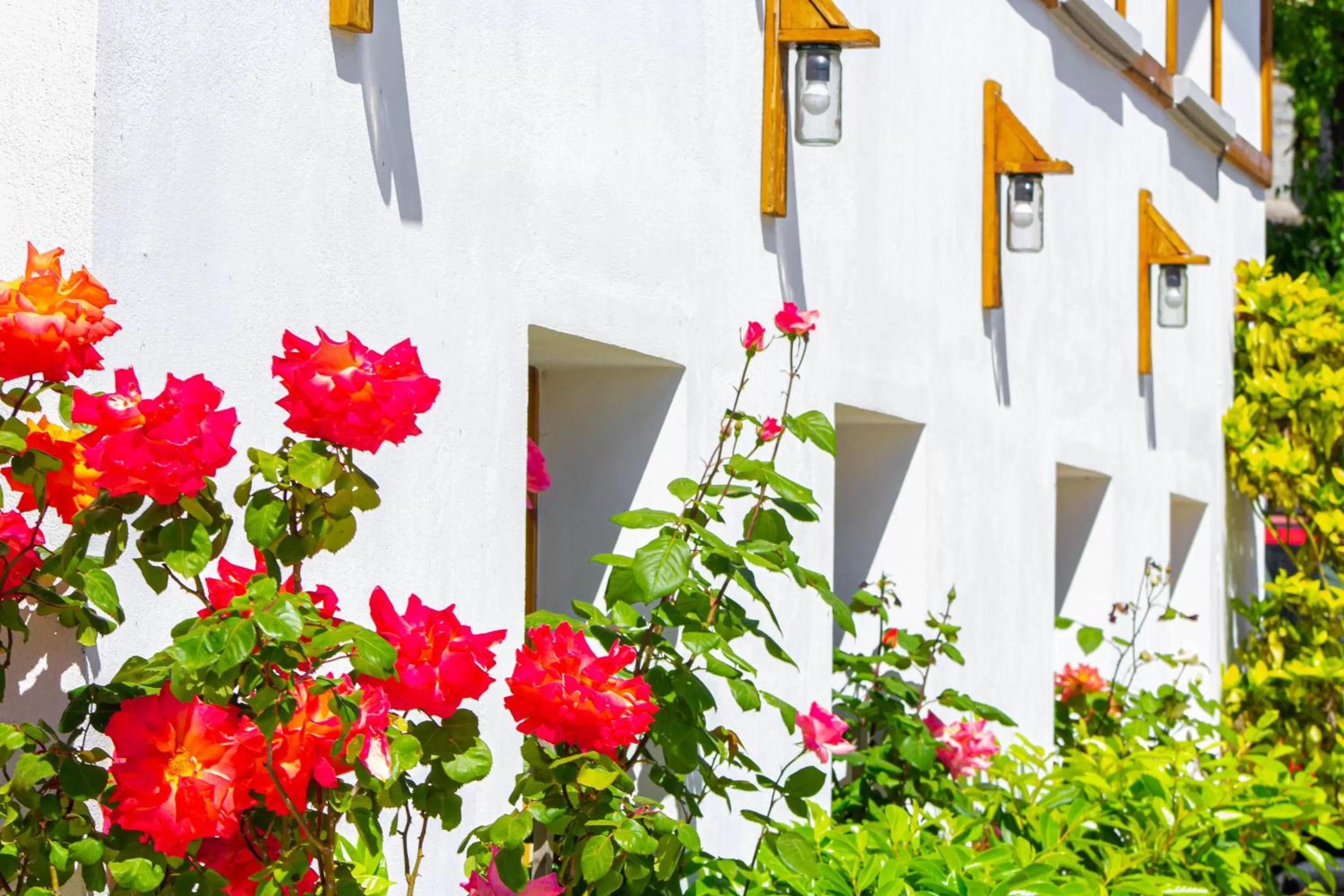 Hotel Bebej Tradicional