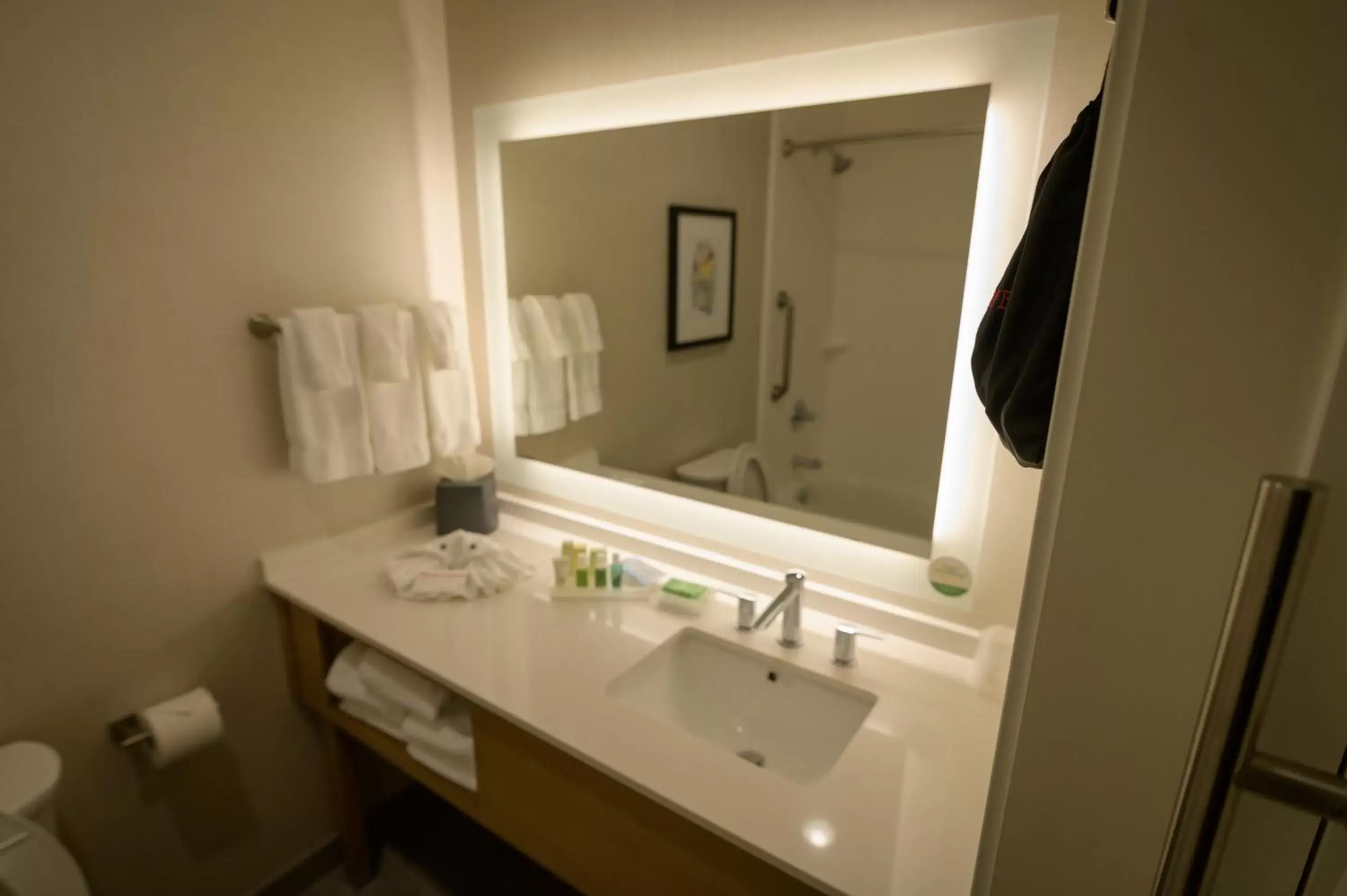 Bathroom in Holiday Inn & Suites Houston NW - Willowbrook, an IHG Hotel