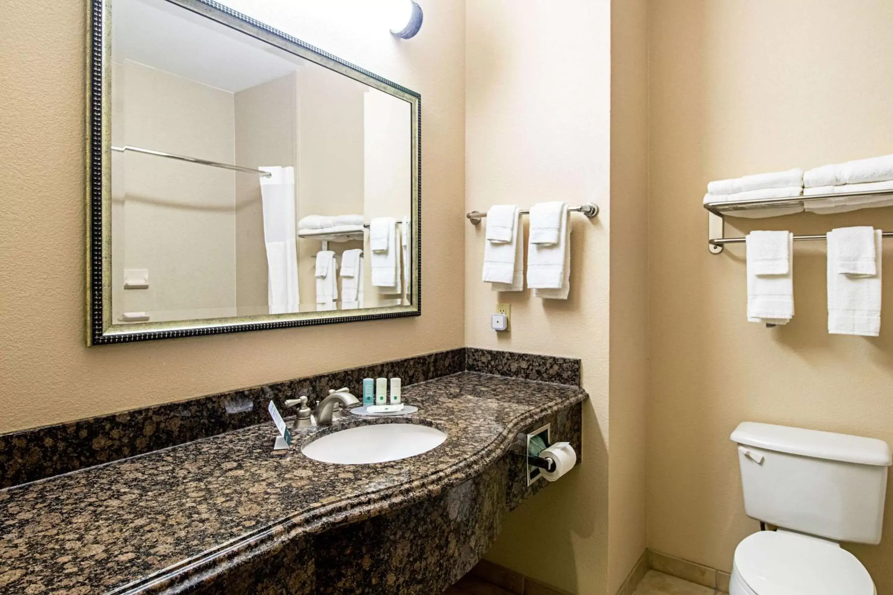 Bedroom, Bathroom in Quality Inn & Suites