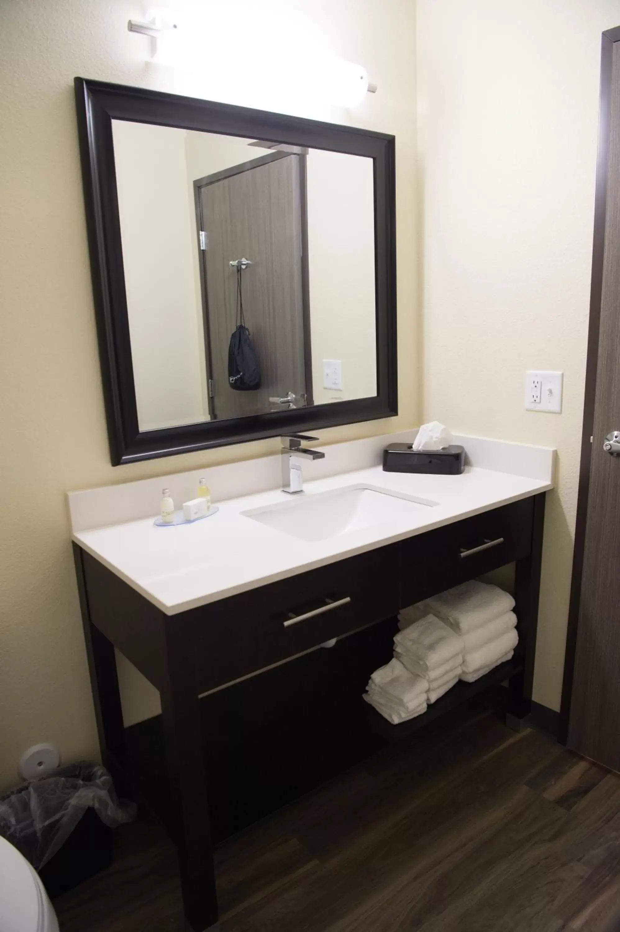 Bathroom in Cobblestone Inn & Suites - Forest City