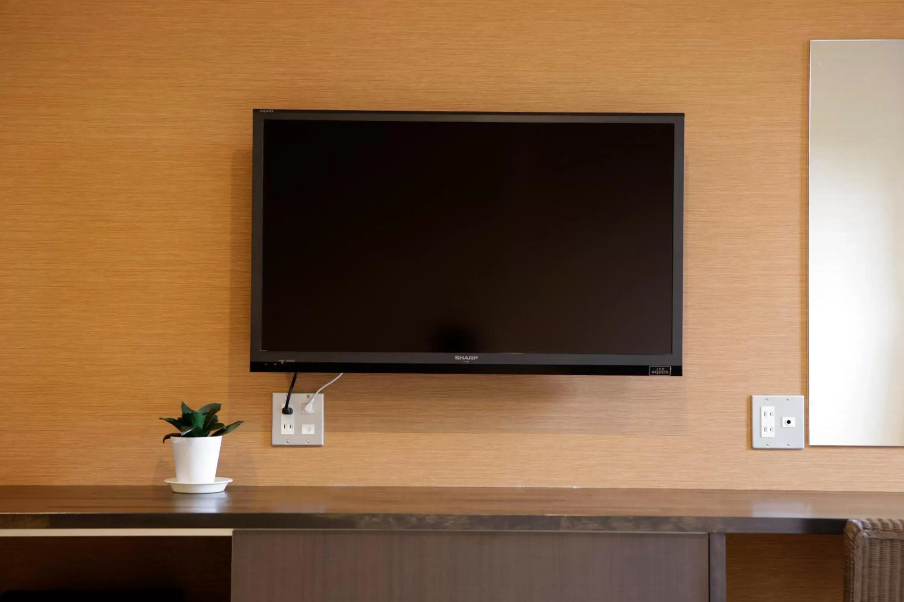 Decorative detail, TV/Entertainment Center in Royal Hotel Kawaguchiko