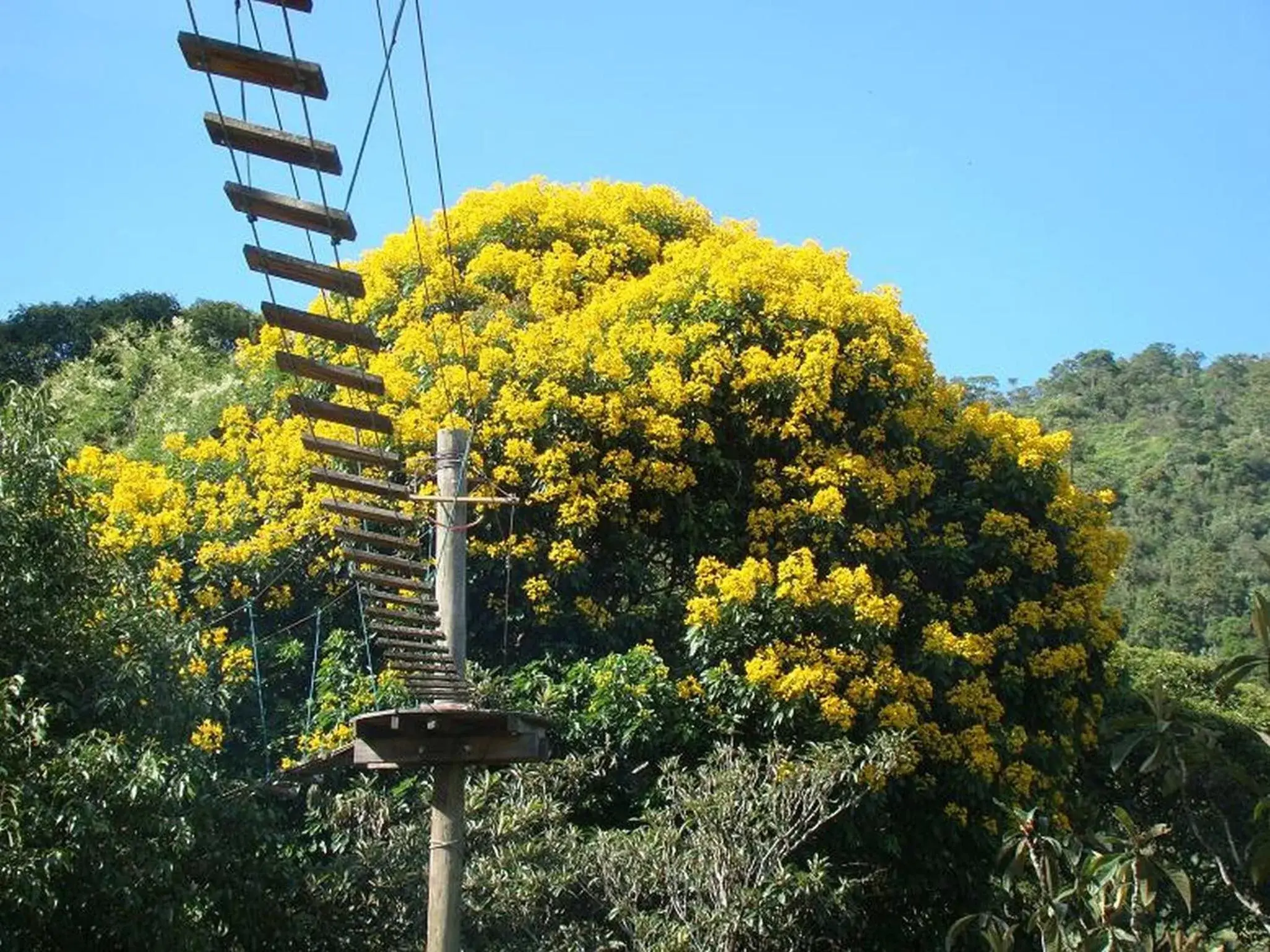 Spring in Plaza Caldas da Imperatriz Resort & Spa