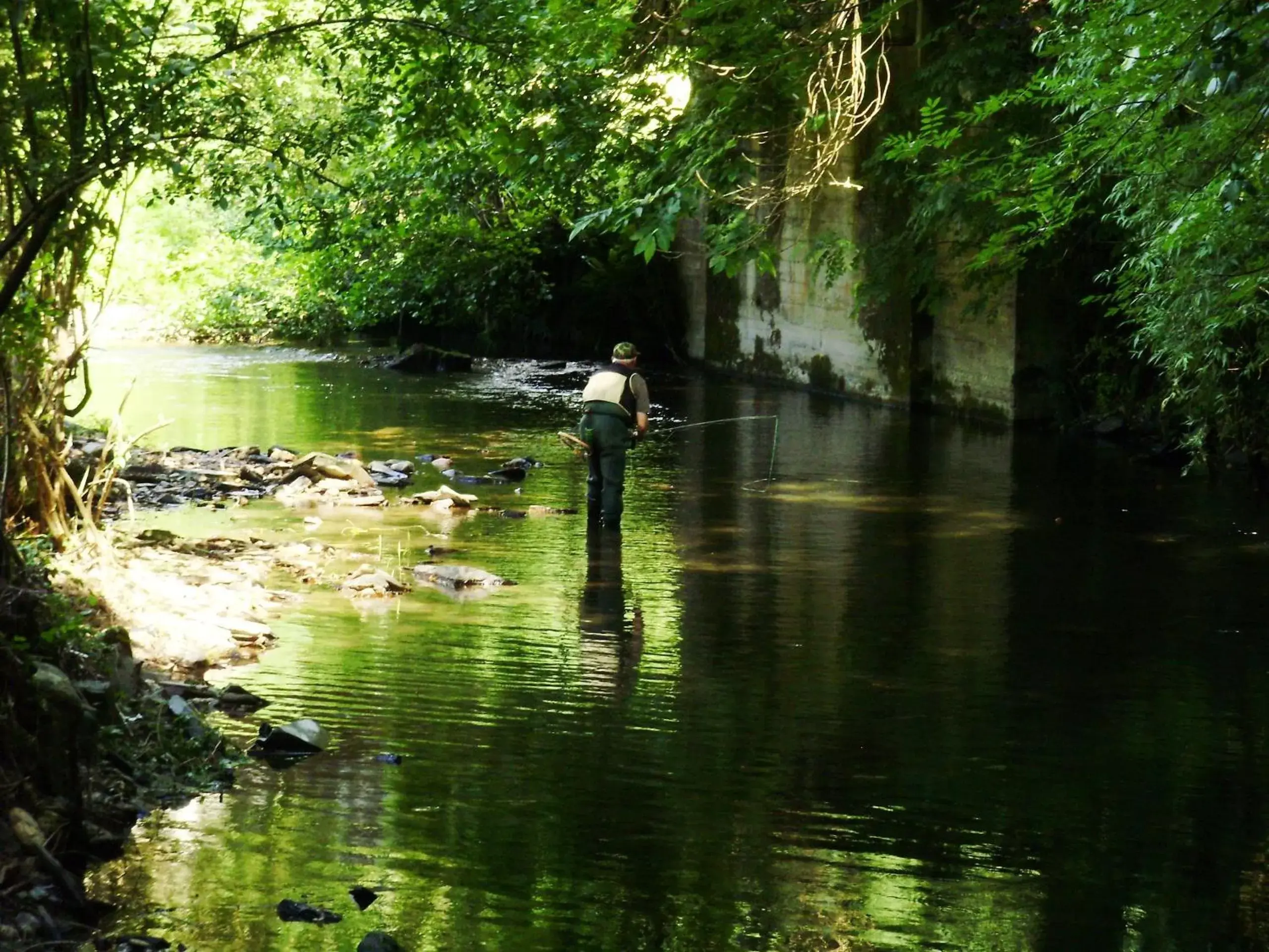 Fishing, Other Animals in Hotel Casa de Díaz