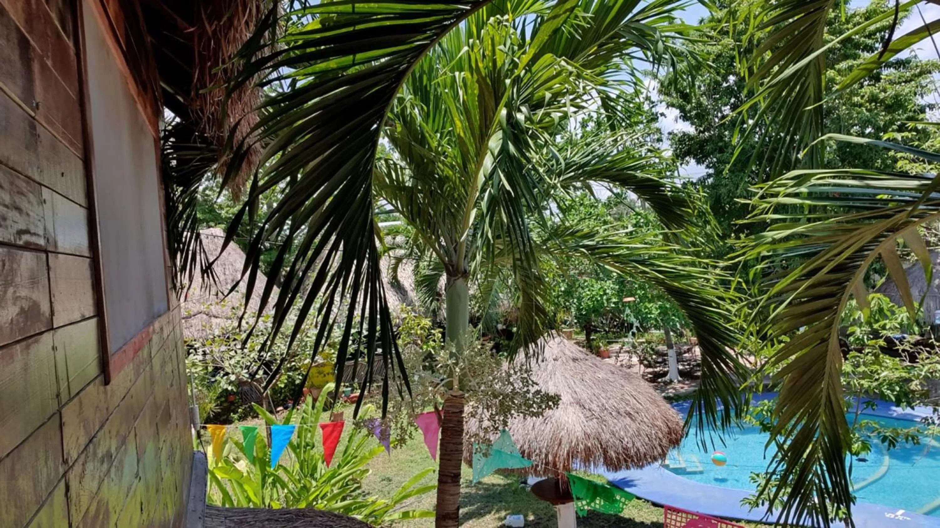Spring, Pool View in Cabañas Colibrí