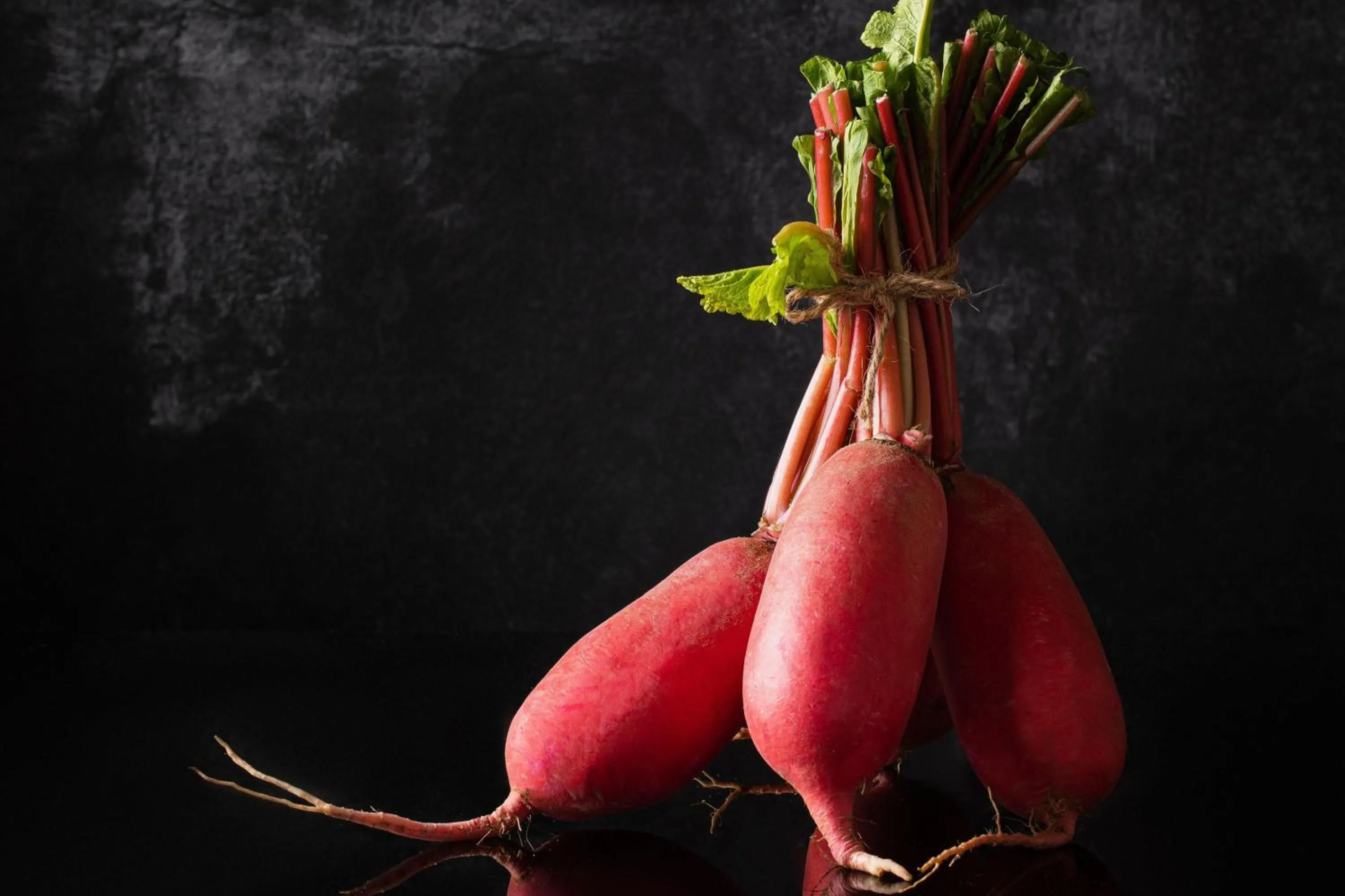 Restaurant/places to eat, Other Animals in Chengdu Marriott Hotel Financial Centre