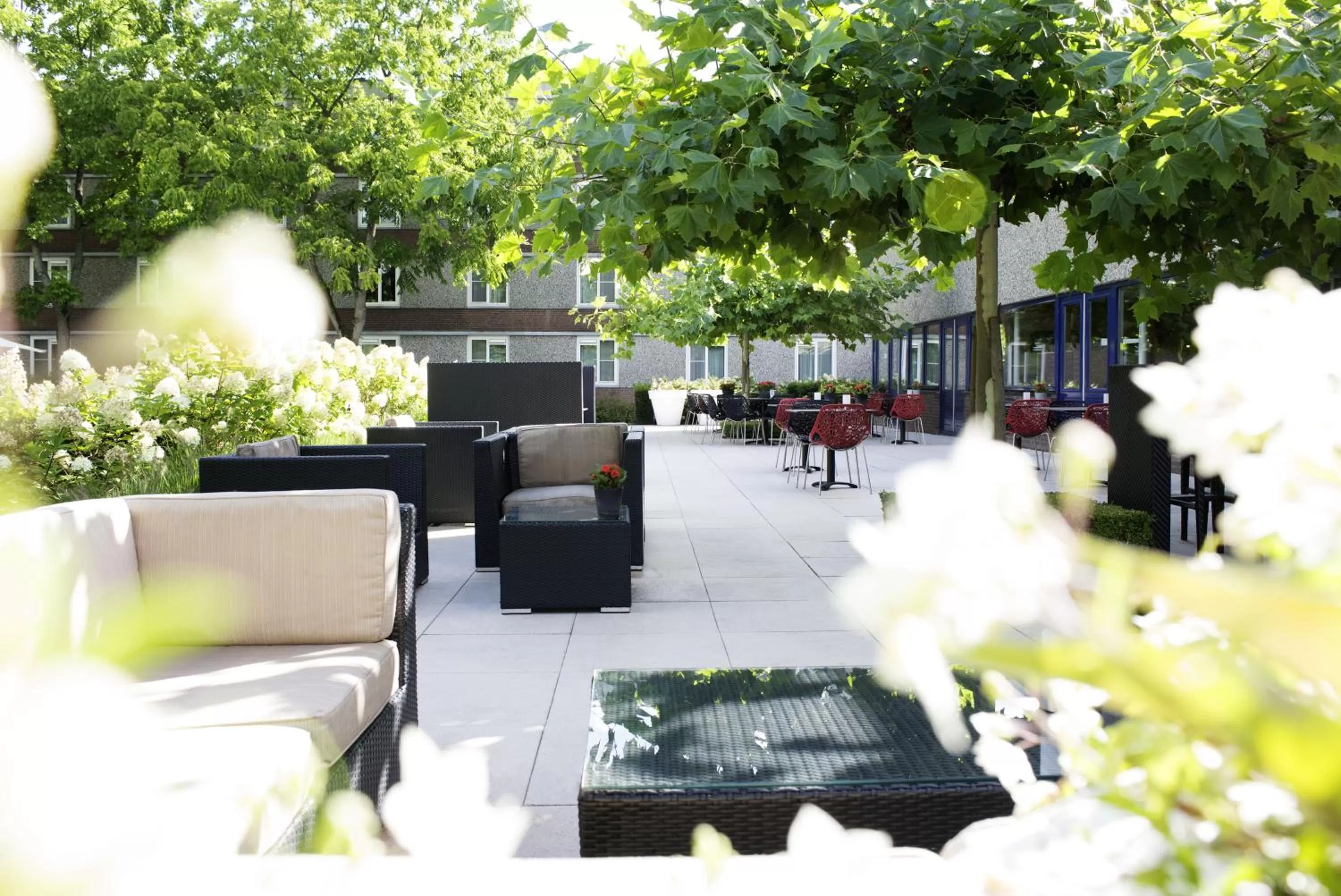 Garden in Novotel Rotterdam - Schiedam