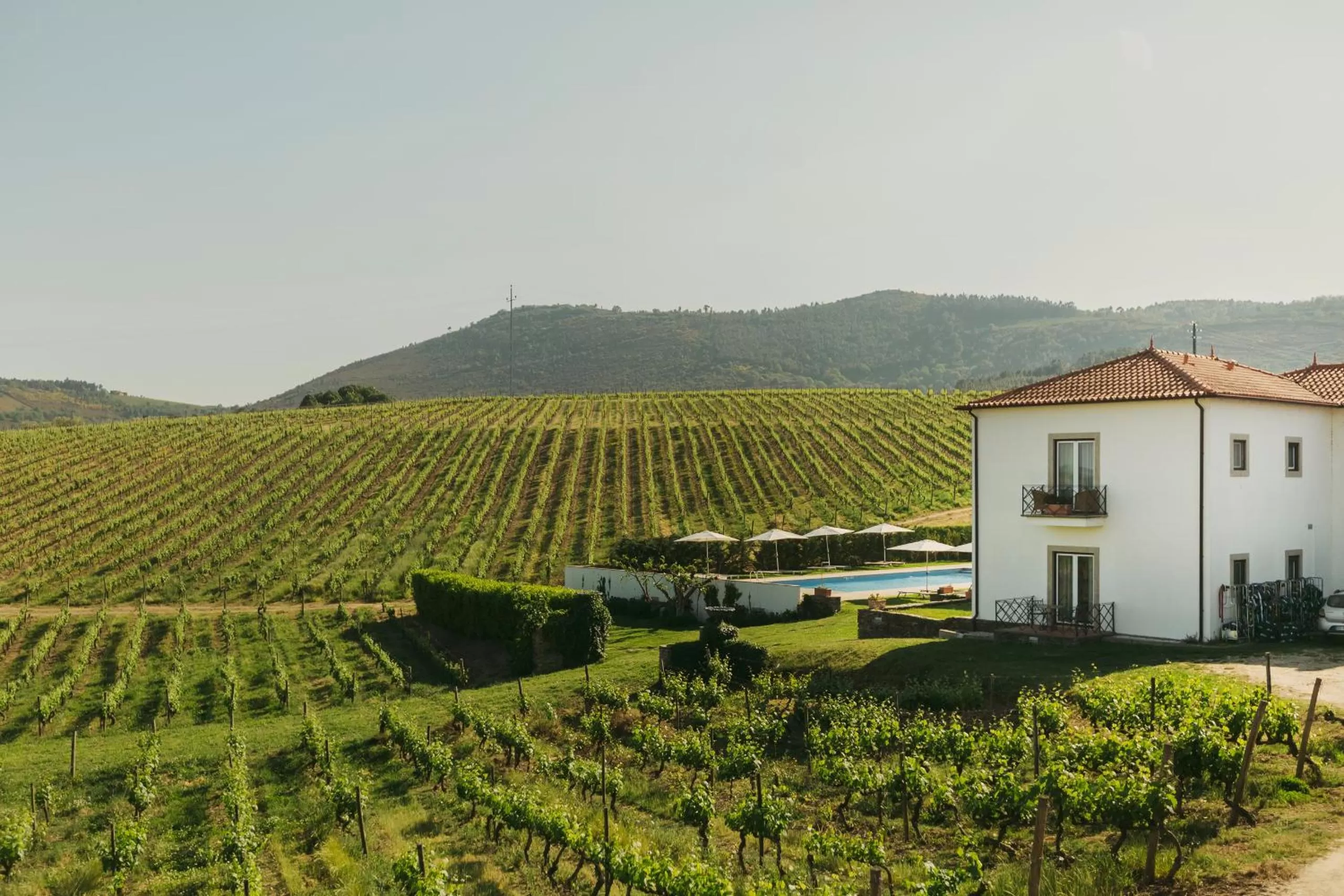 Natural landscape in Casa das Pipas / Quinta do Portal
