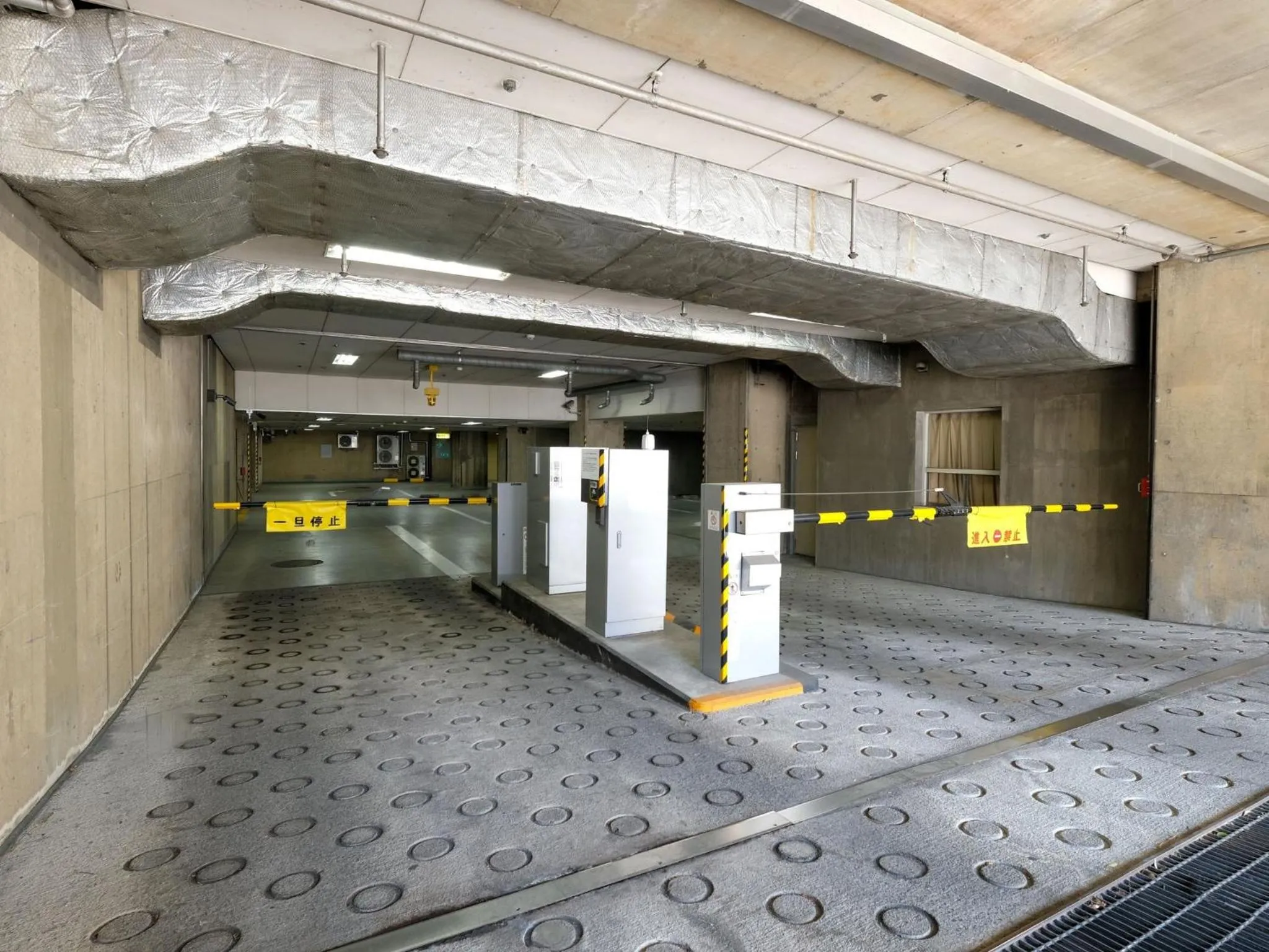 Area and facilities in Hotel Buena Vista