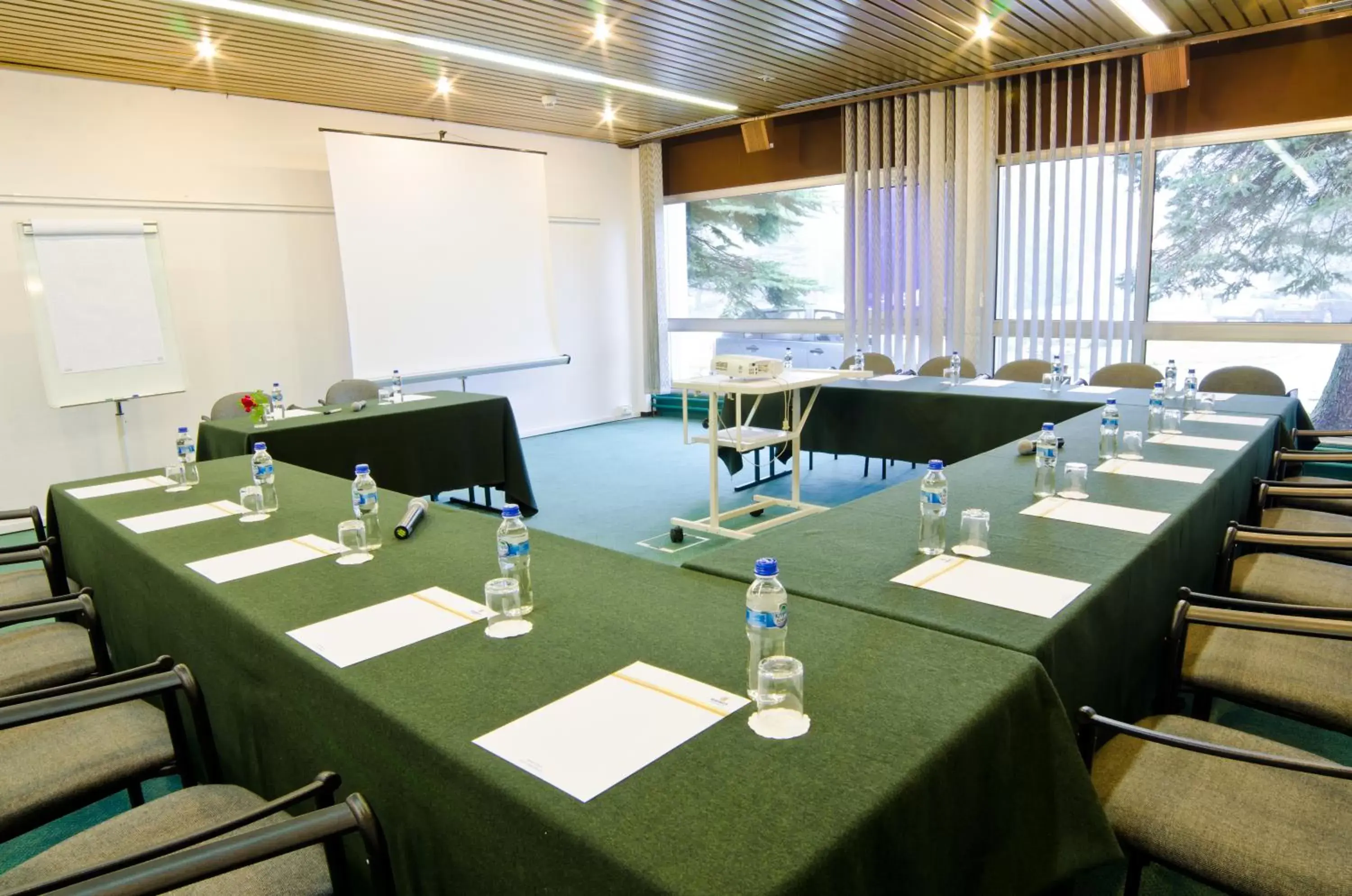 Business facilities in Hotel Solny