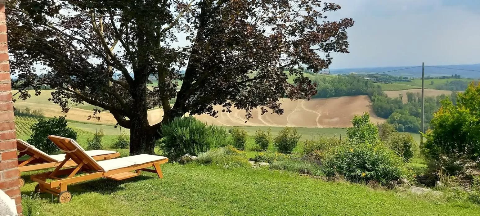 sunbed, Garden in Villa Pieve