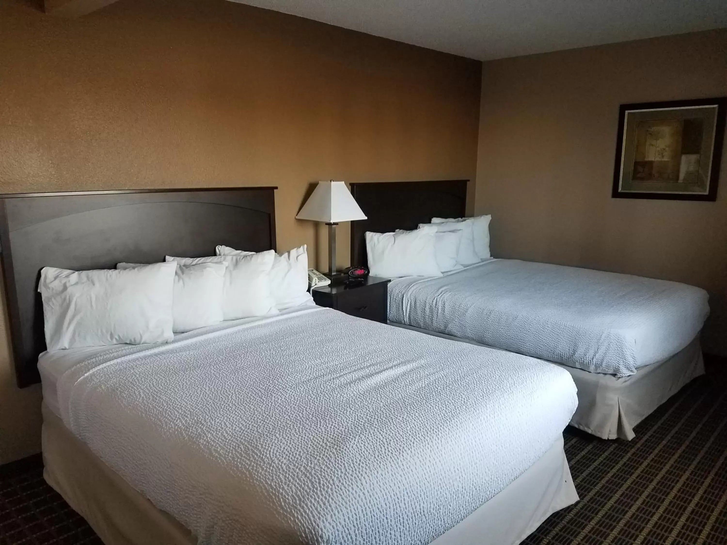 Bedroom, Bed in Americas Best Value Inn and Suites Bismarck