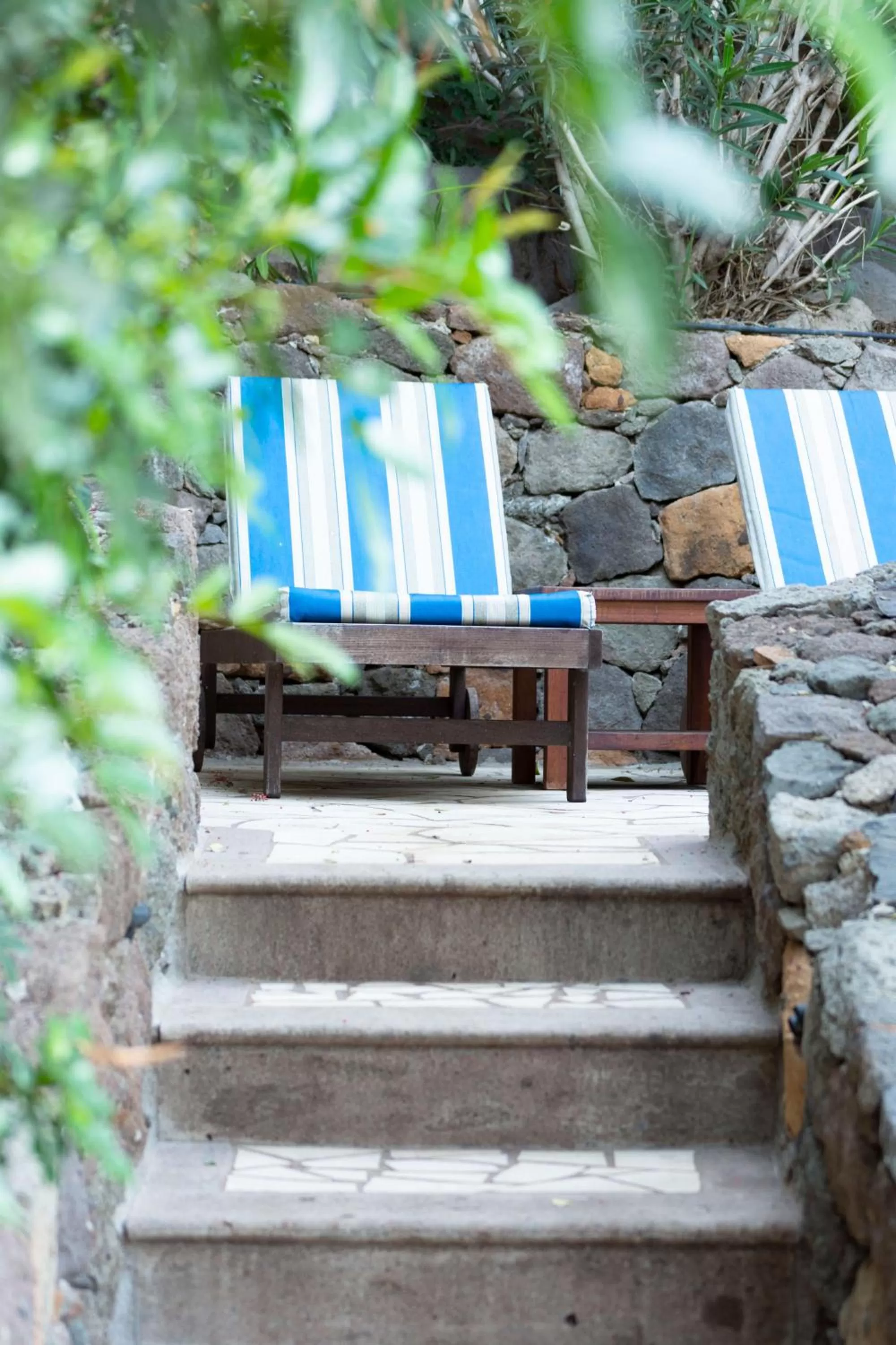 Garden in Casa León Royal Retreat
