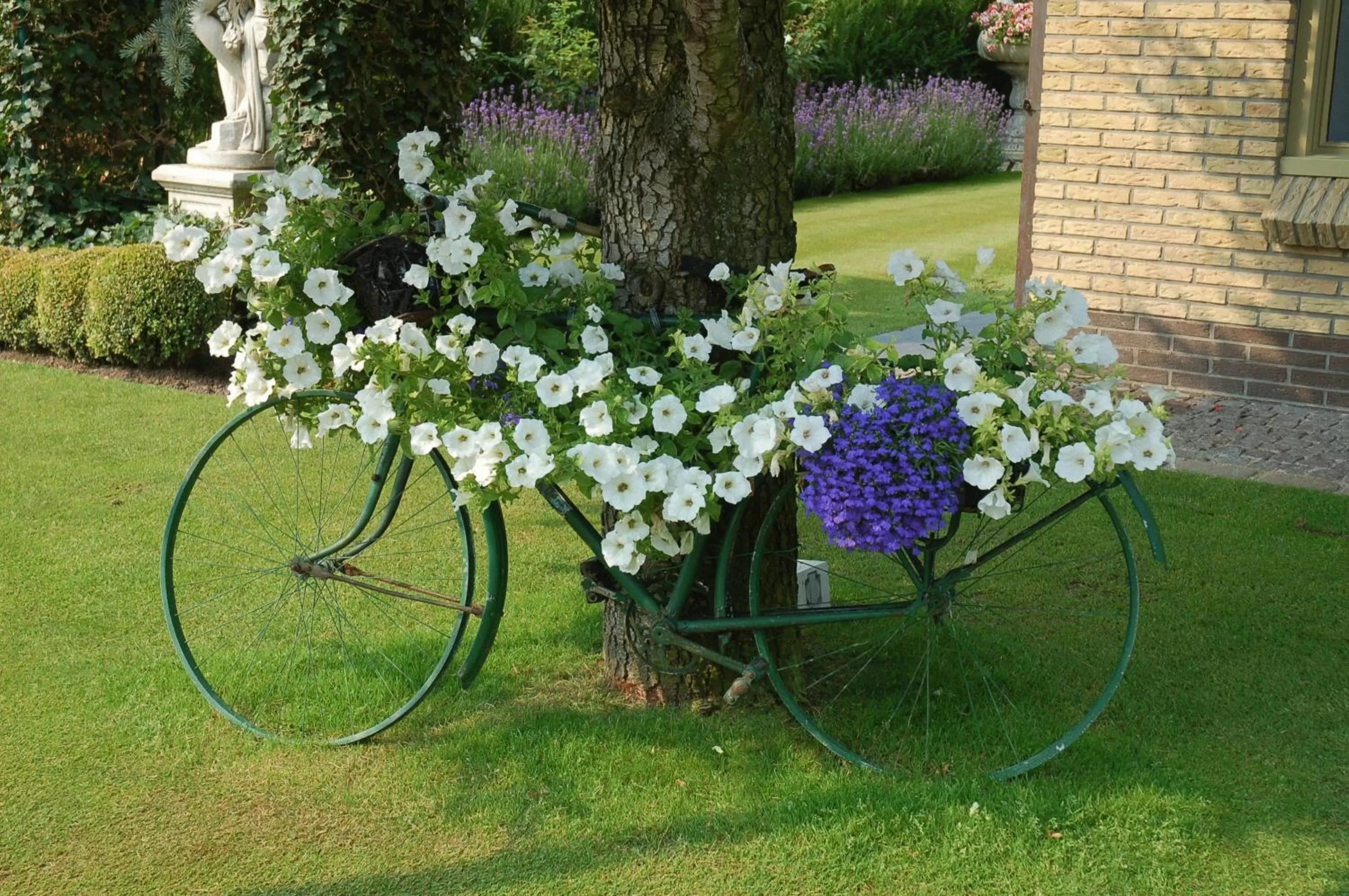 Garden in B&B Bloemenweelde