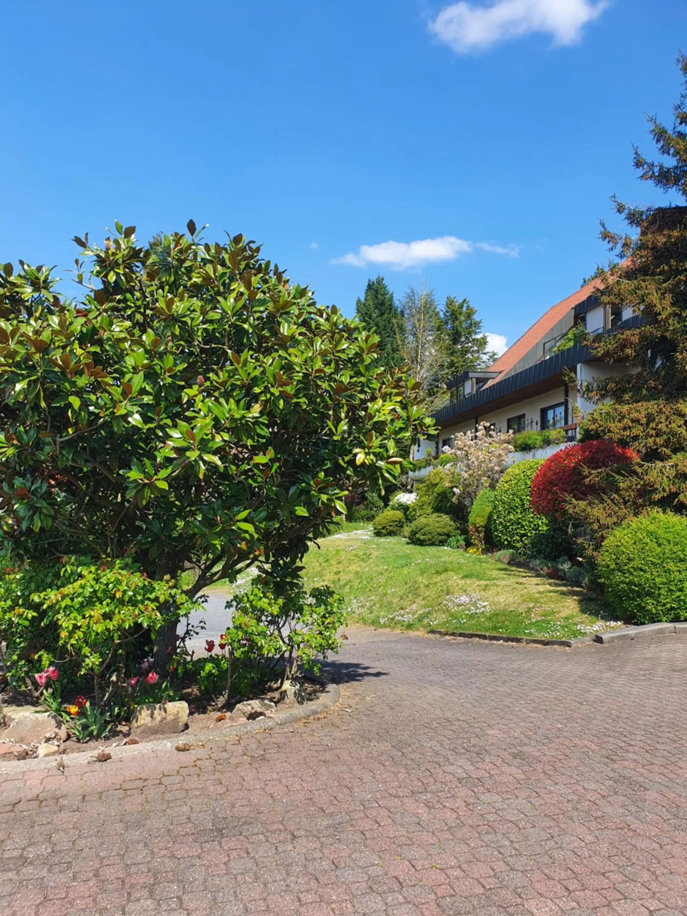 Parking in Käfernberg - Weinhotel