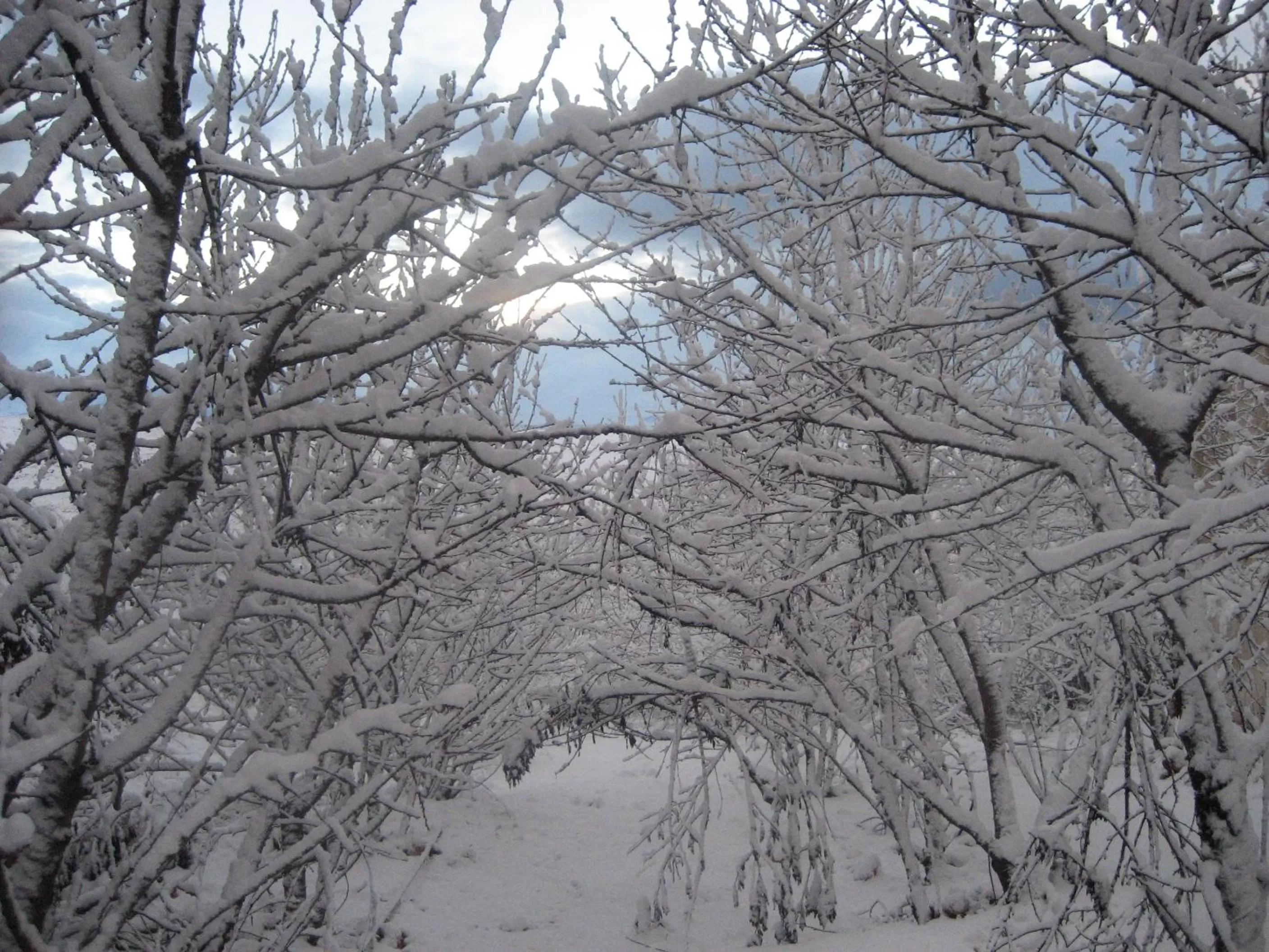 Winter in Beit Shalom Historical boutique Hotel