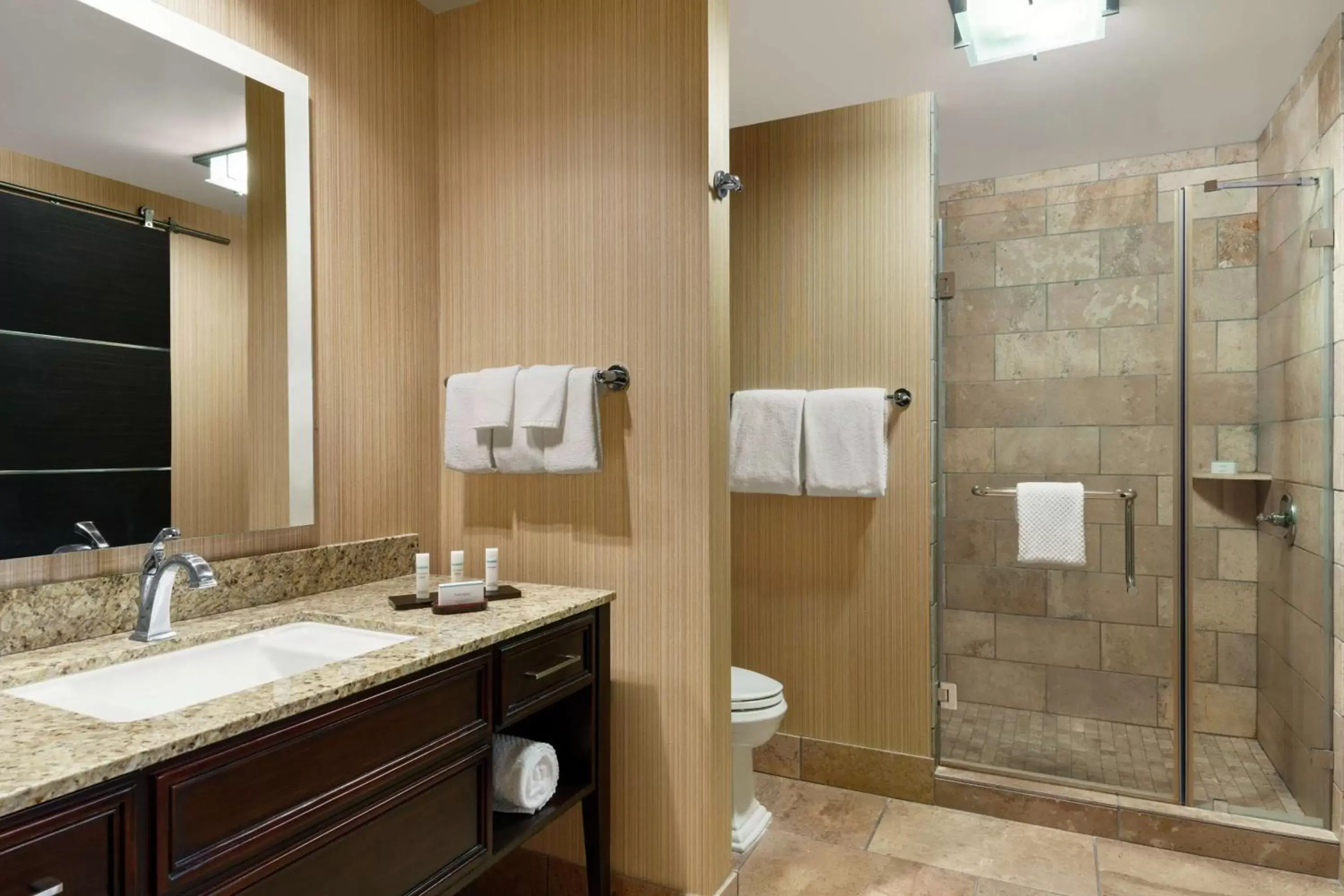 Bathroom in Embassy Suites by Hilton Salt Lake West Valley City