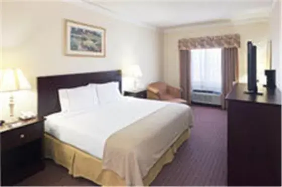King Room in Holiday Inn Express Hotel & Suites Plainview, an IHG Hotel