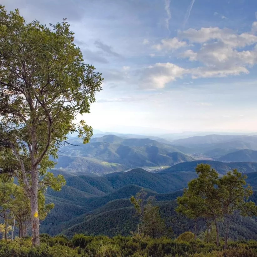 Hiking in Hotel Catalunya Ribes de Freser