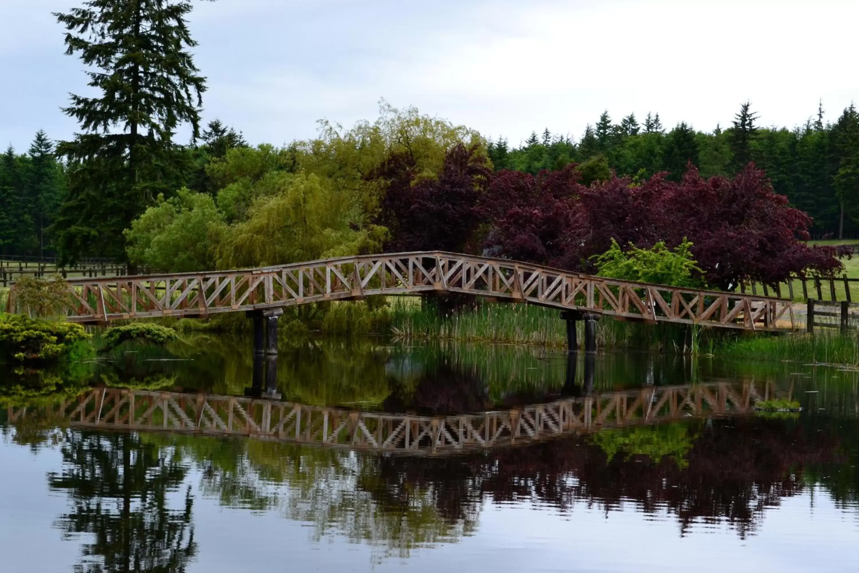 Natural landscape in Wildwood Farm Bed & Breakfast