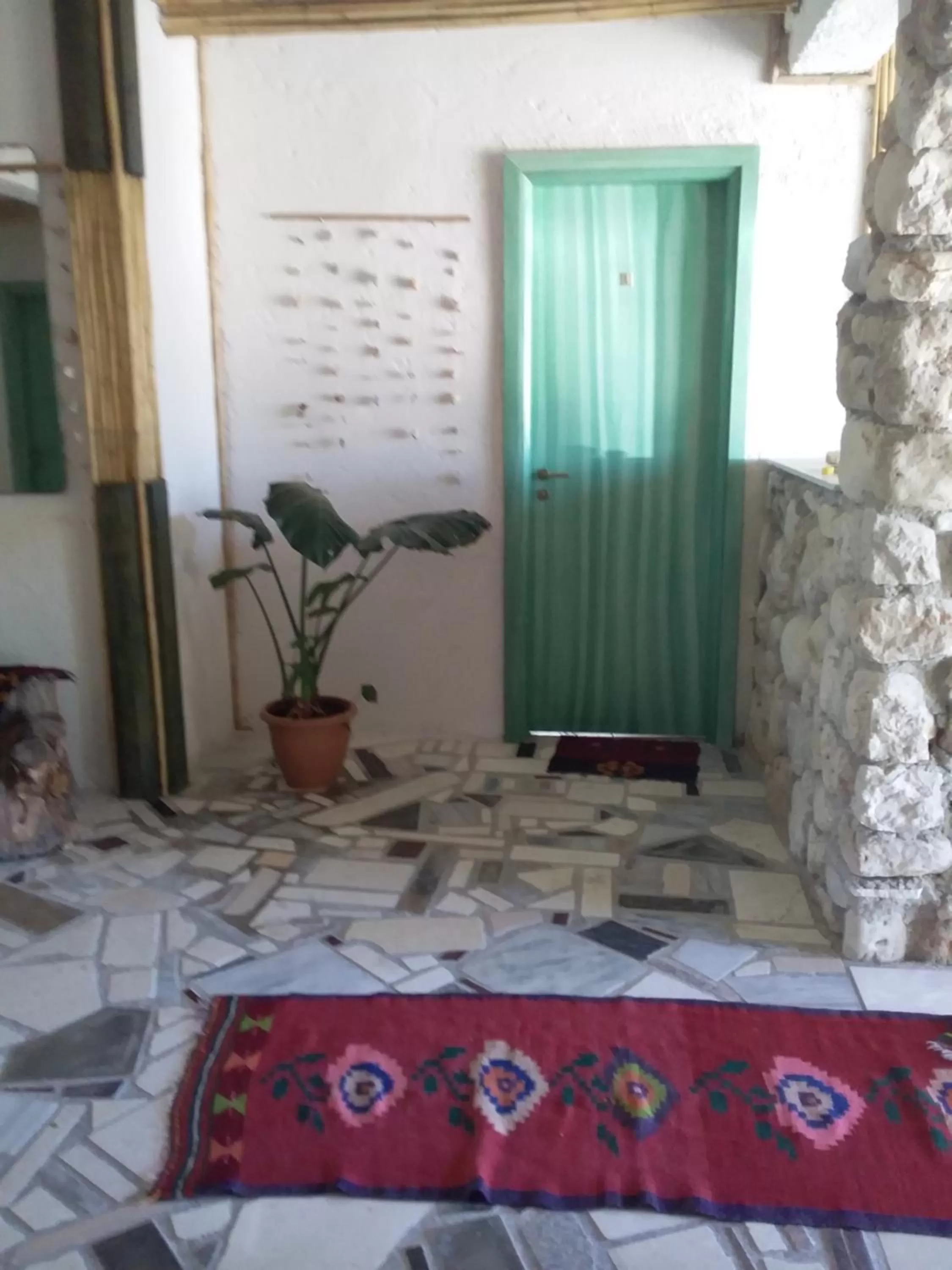 Maxola's Dream Orikum