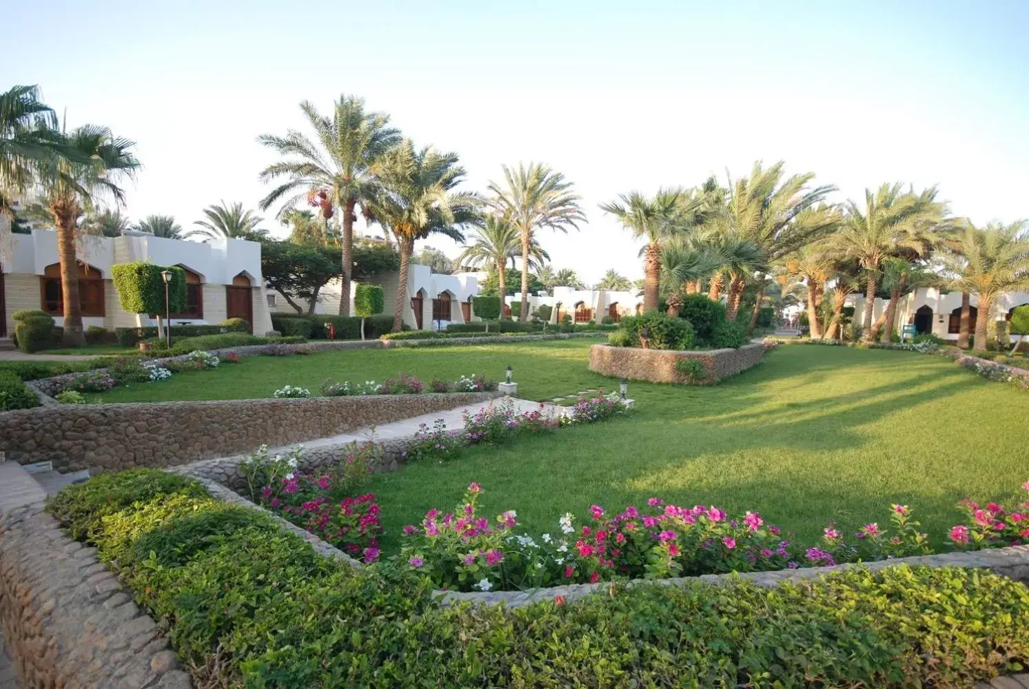 Garden view, Garden in ZYA Regina Resort and Aqua Park Hurghada