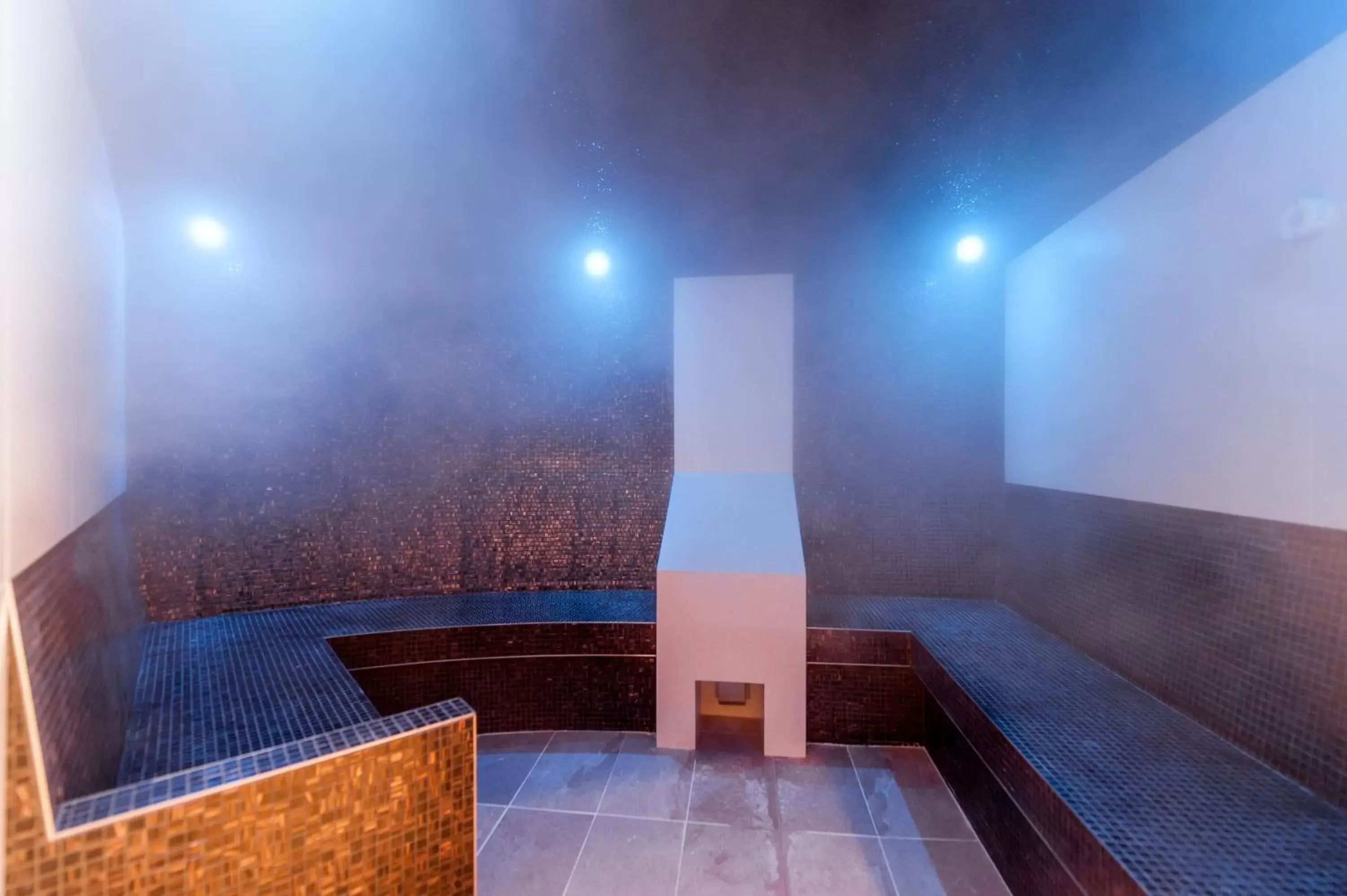 Sauna, Swimming Pool in Gomersal Park Hotel & Dream Spa