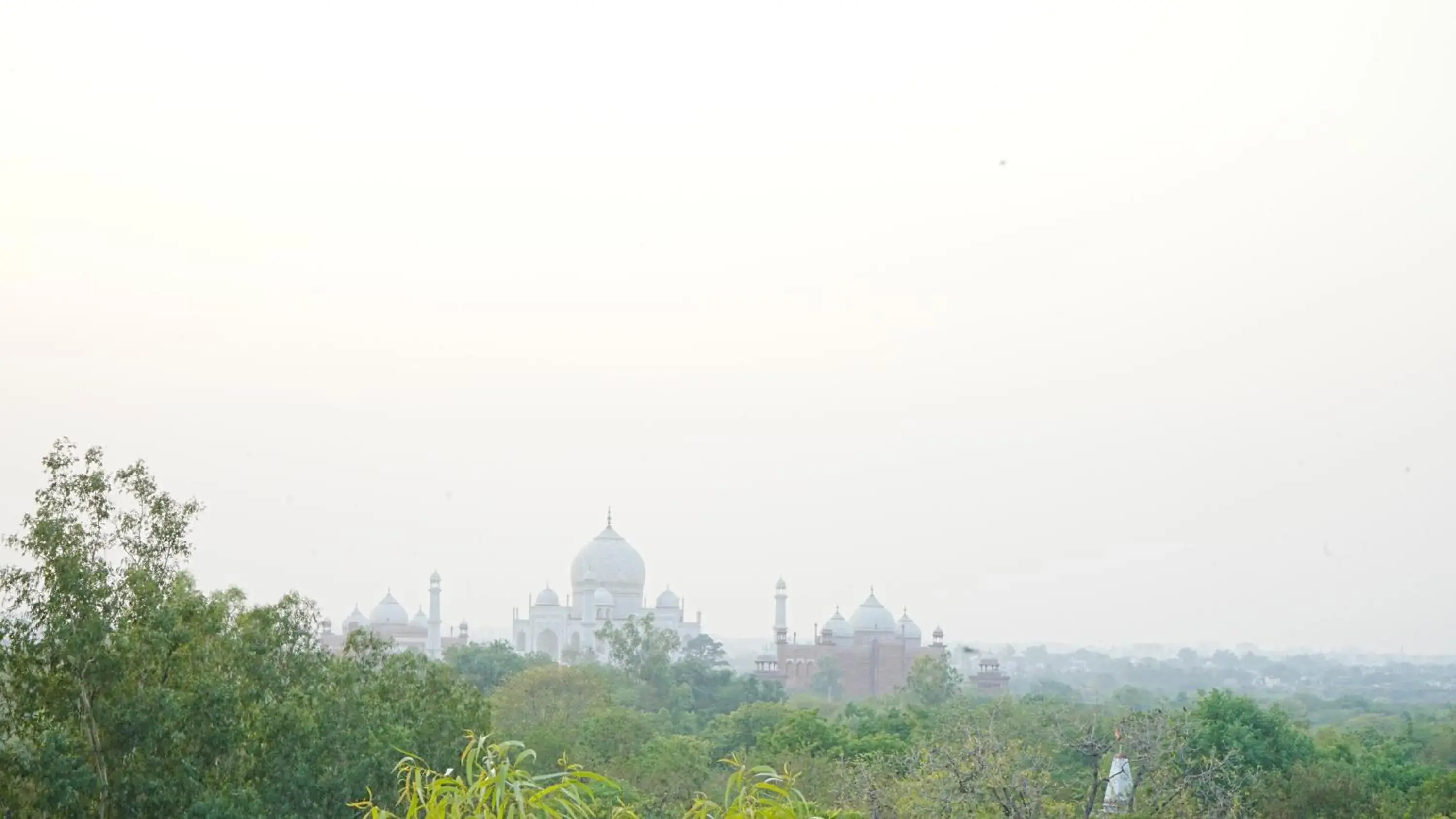 Natural landscape in Hotel Atulyaa Taj