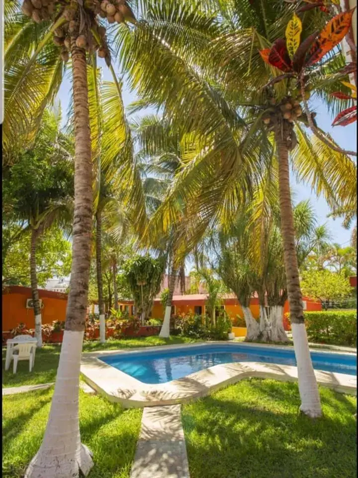 Swimming Pool in Hotel Caribe