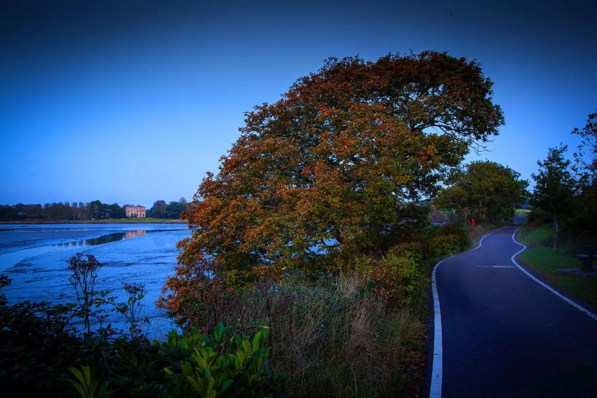 Natural landscape in Carrigaline Court Hotel & Leisure Centre