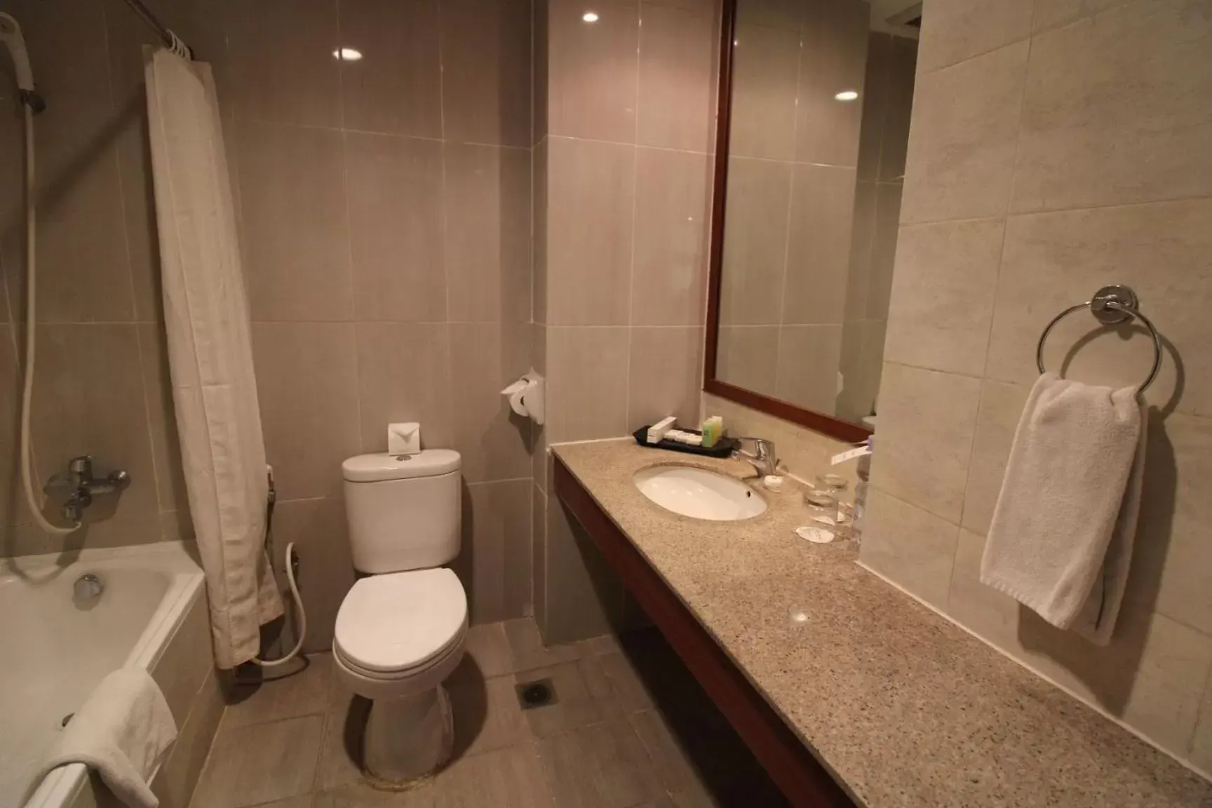 Bathroom in Swiss-Belhotel Manokwari