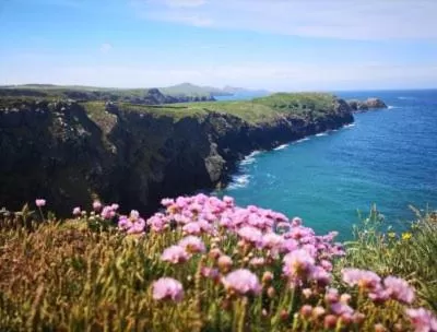 Natural landscape in Middle Cottage Sandy Haven Beach