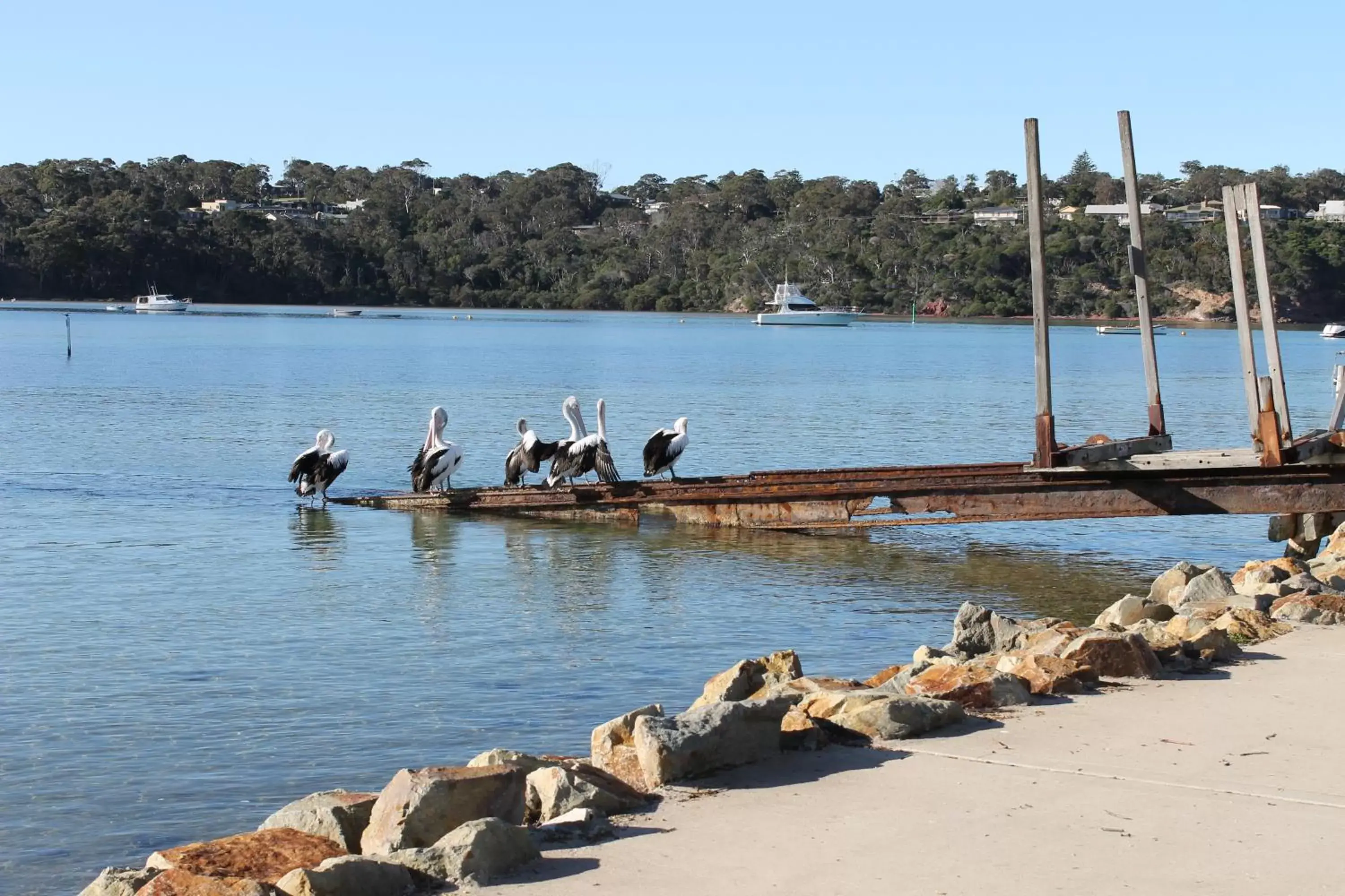 Natural landscape in Merimbula Lake Apartments